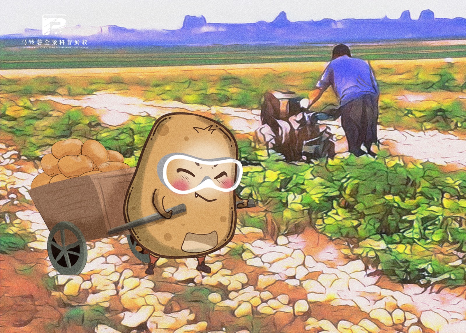 2069南方冬闲田马铃薯稻草覆盖栽培优点.jpg