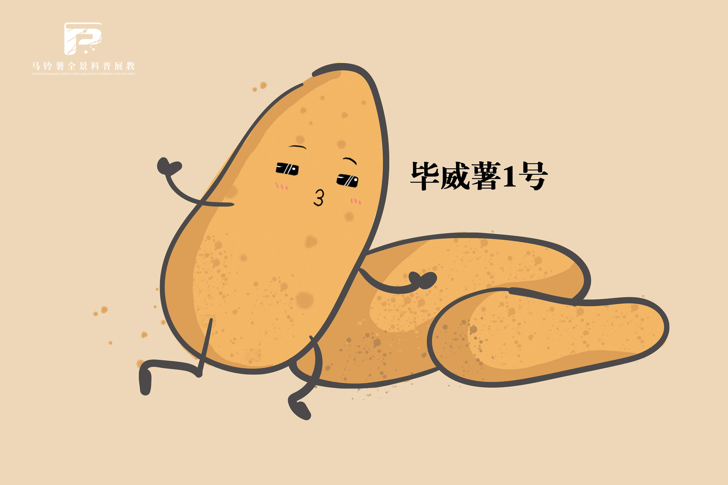 2575 拷贝.jpg