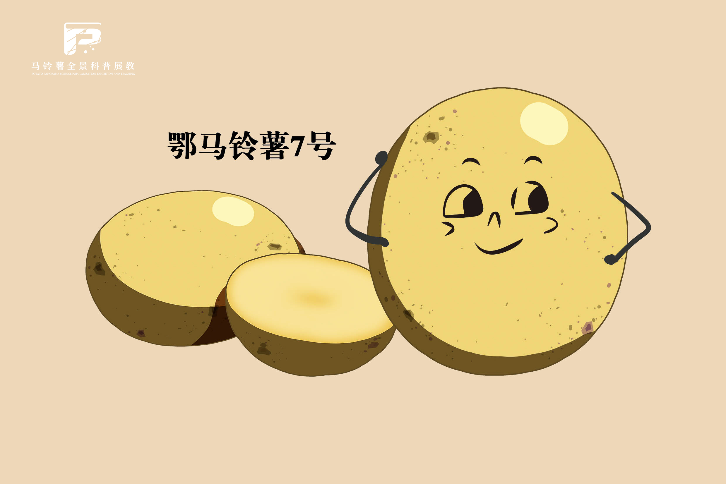 2552 拷贝.jpg