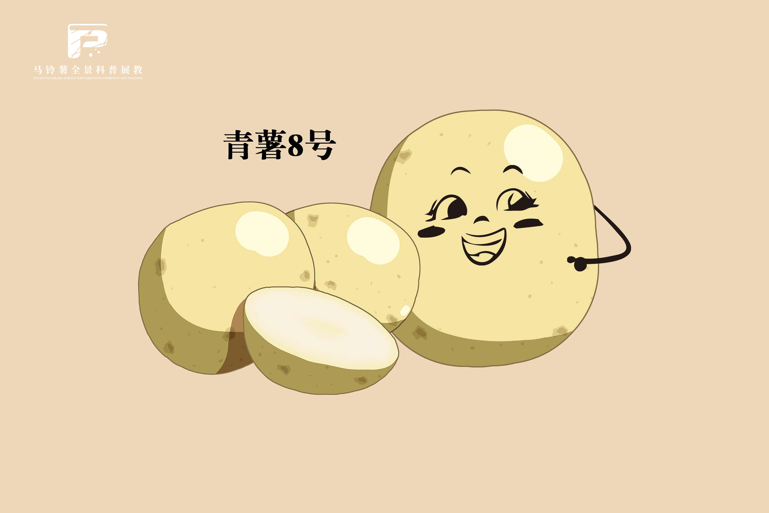2551 拷贝.jpg