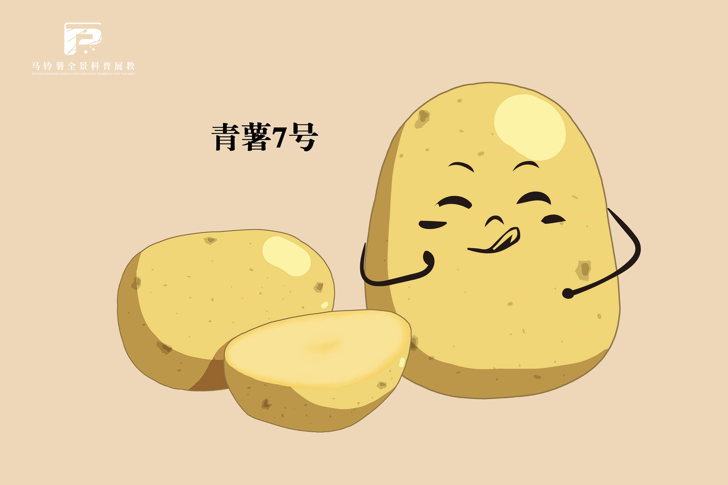 2550 拷贝.jpg