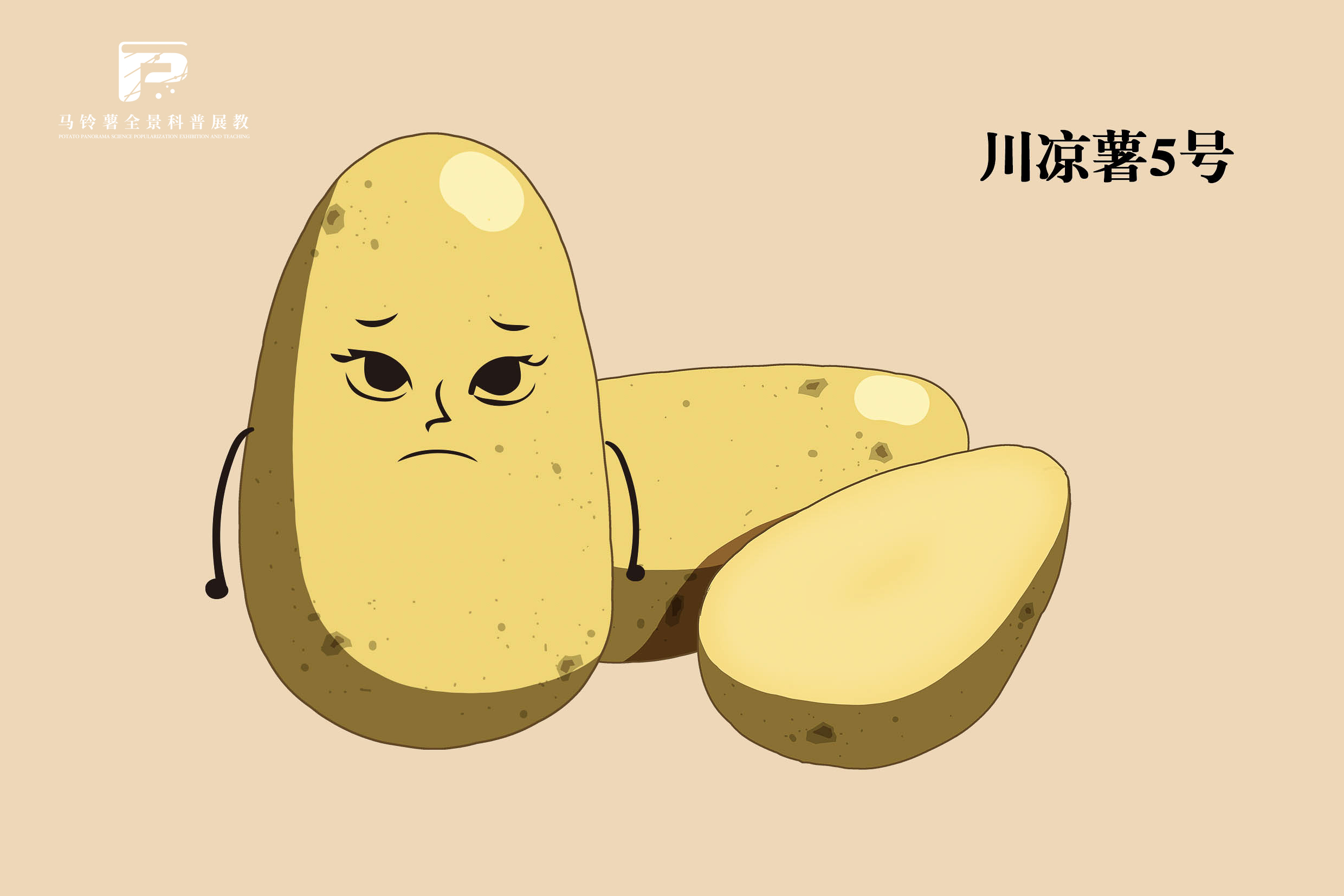 2549 拷贝.jpg
