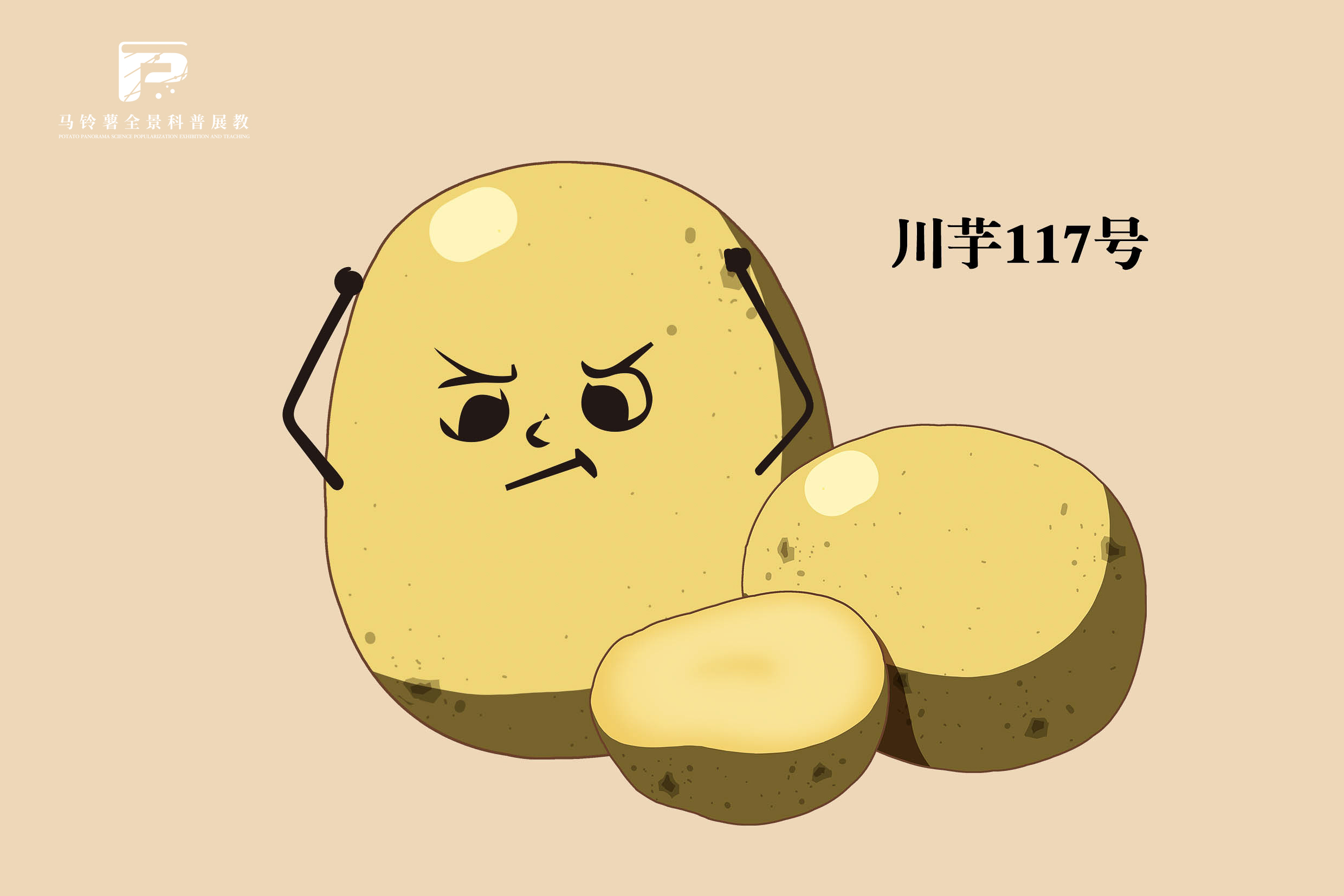 2548 拷贝.jpg
