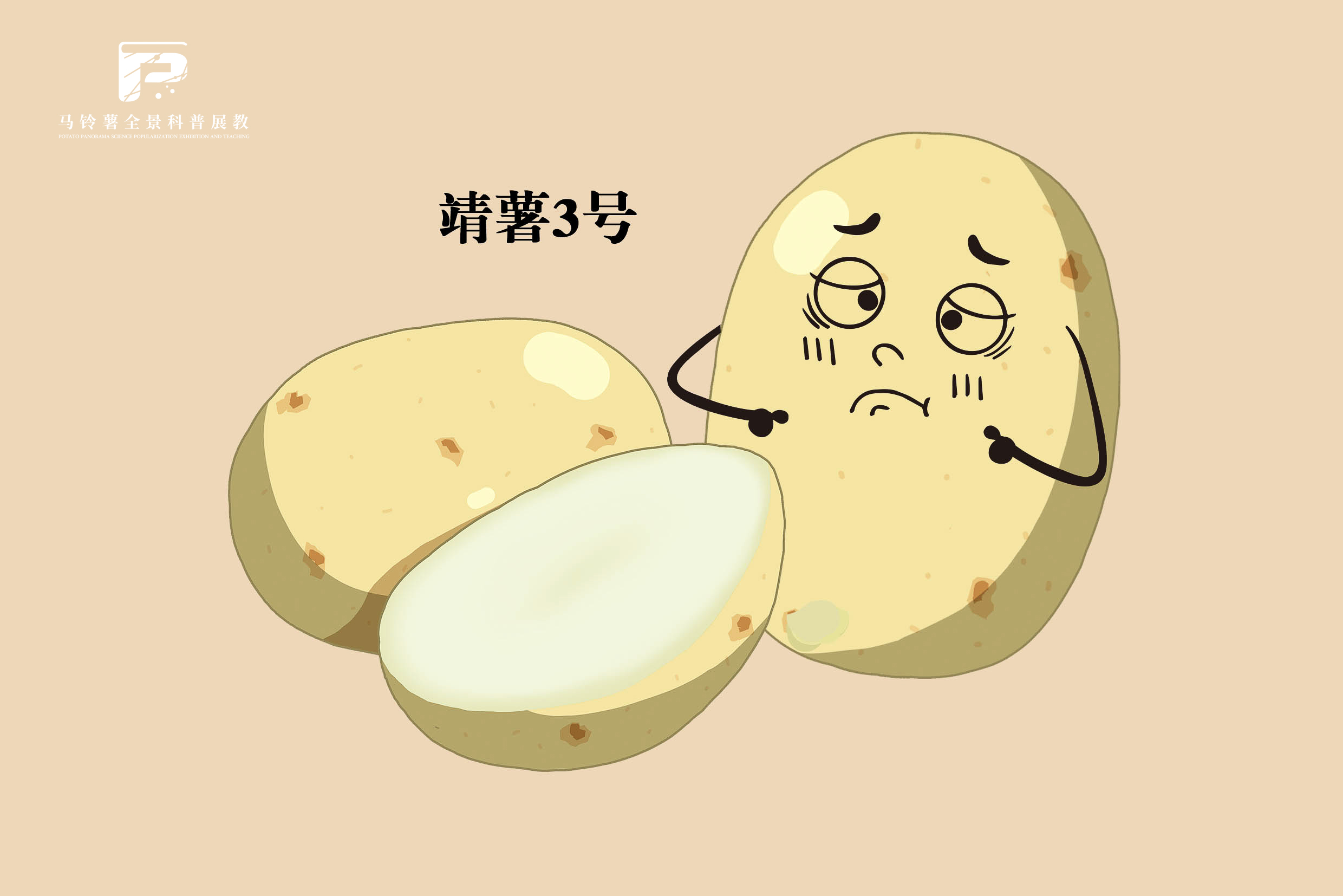 2554 拷贝.jpg