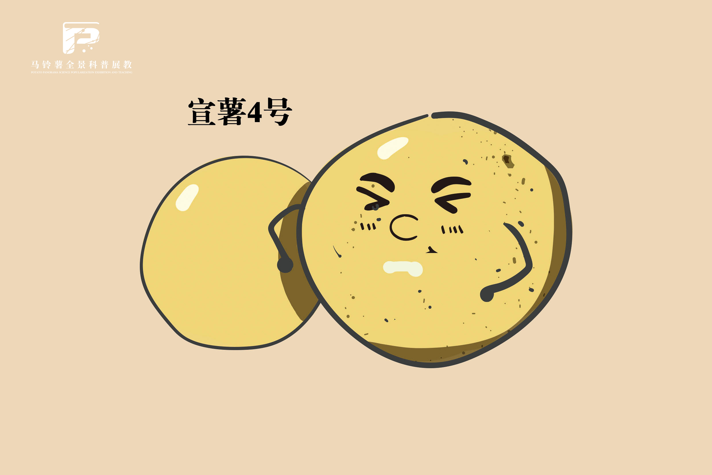 2556 拷贝.jpg
