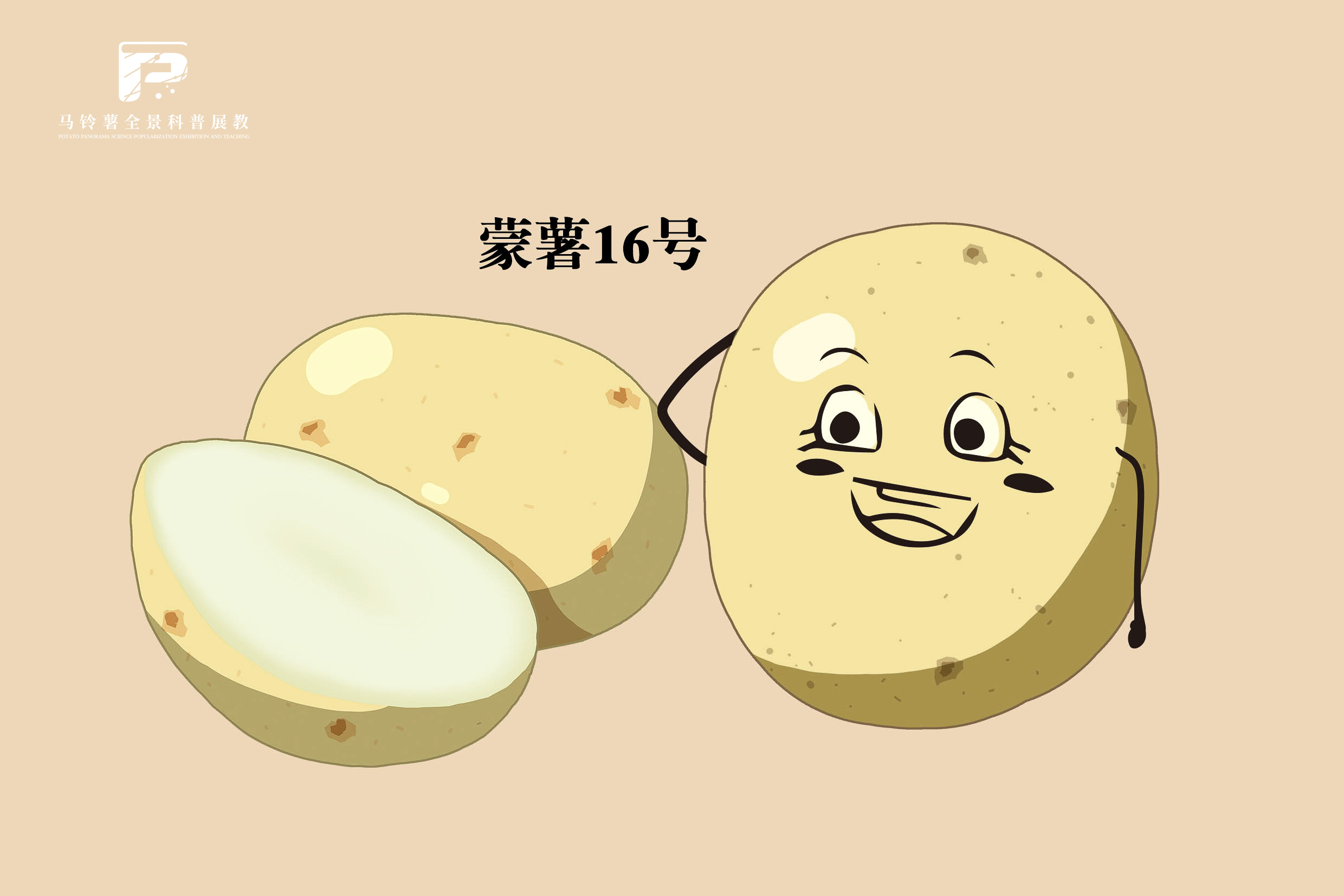 2547 拷贝.jpg