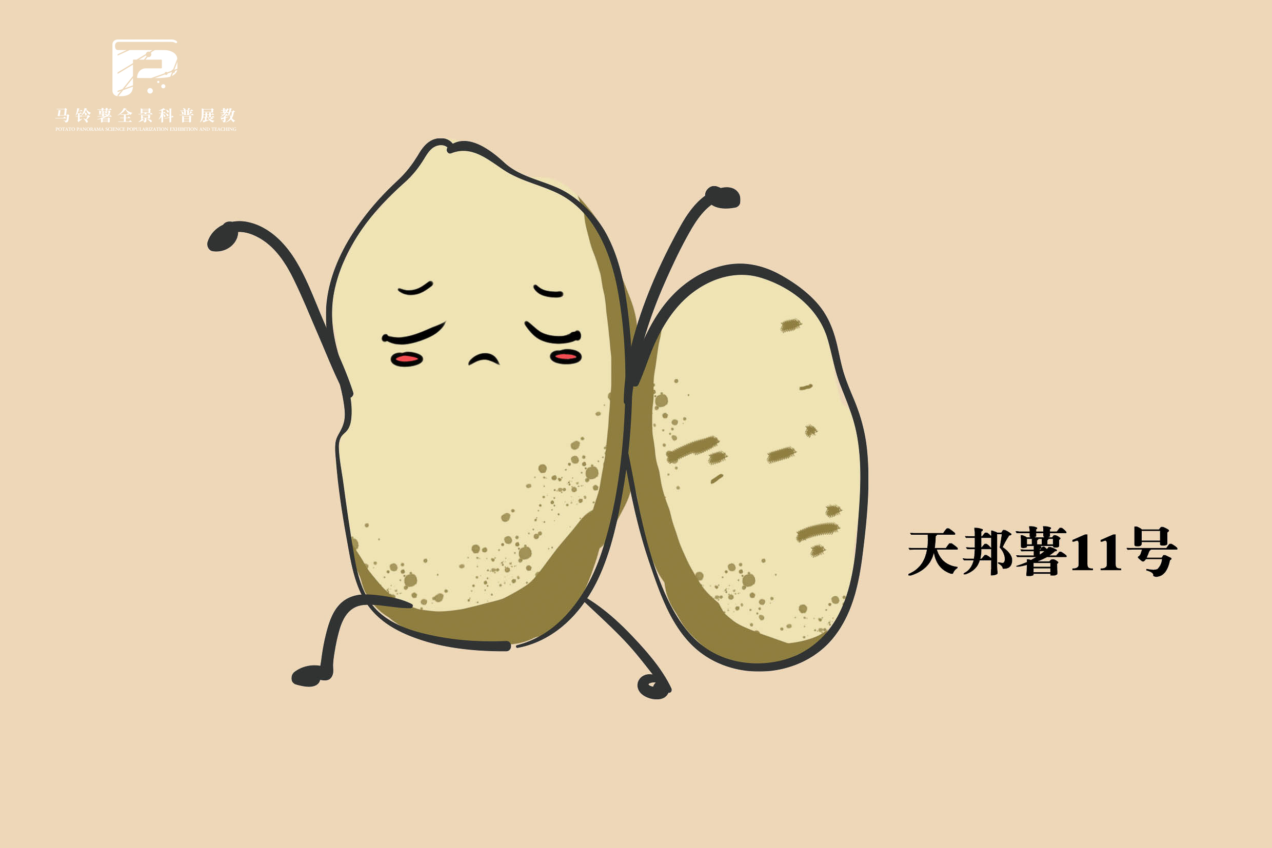 2570 拷贝.jpg