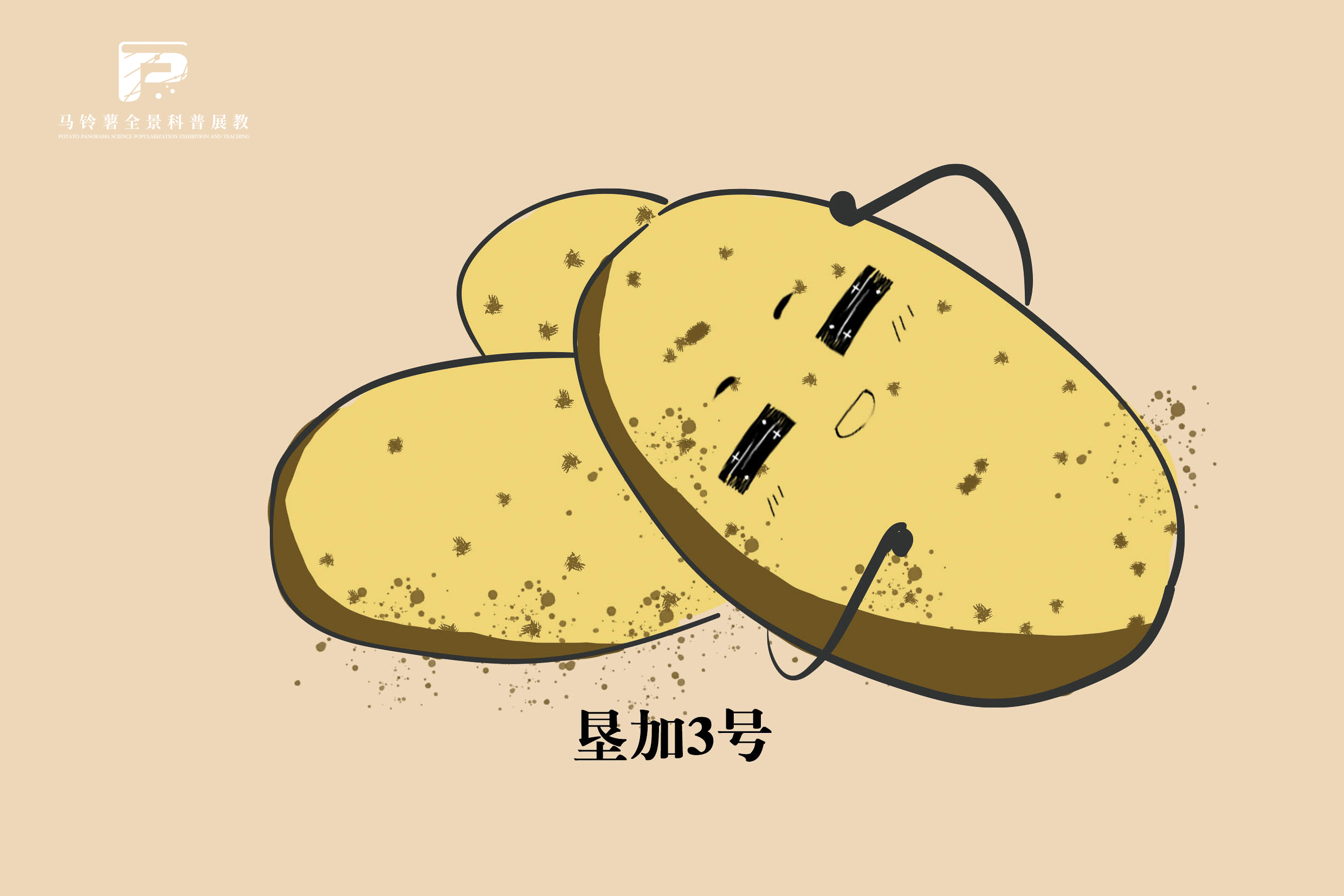 2565 拷贝.jpg