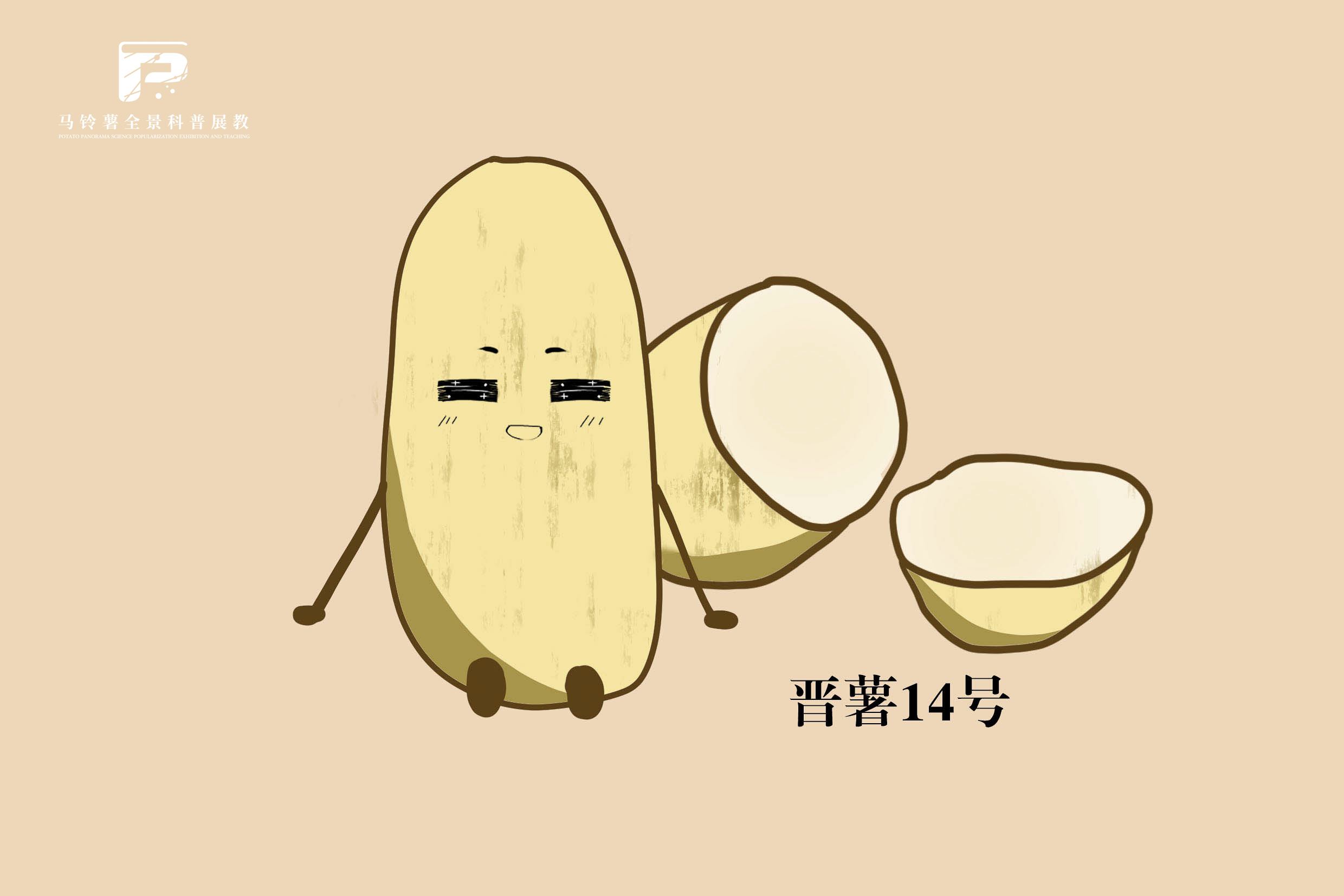 1872晋薯14号.jpg