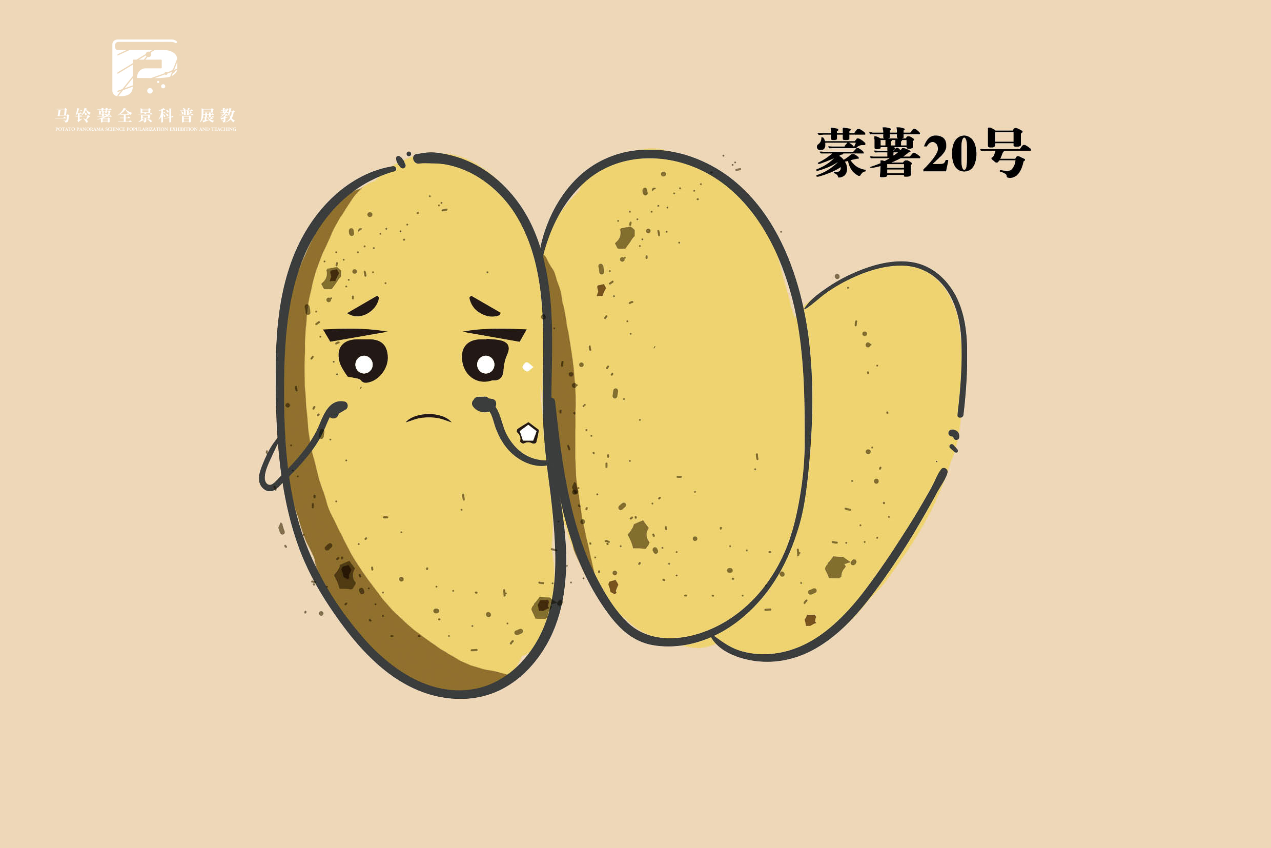 2559 拷贝.jpg