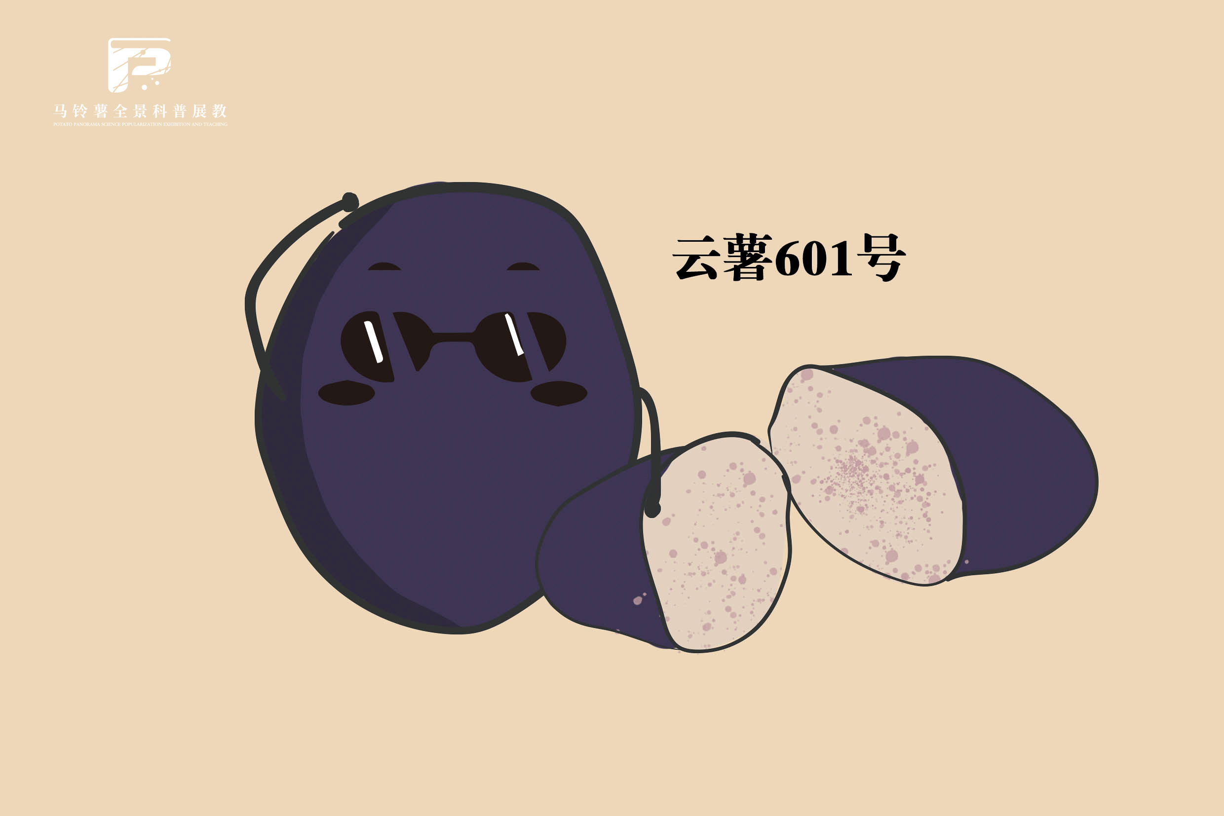 2558 拷贝.jpg