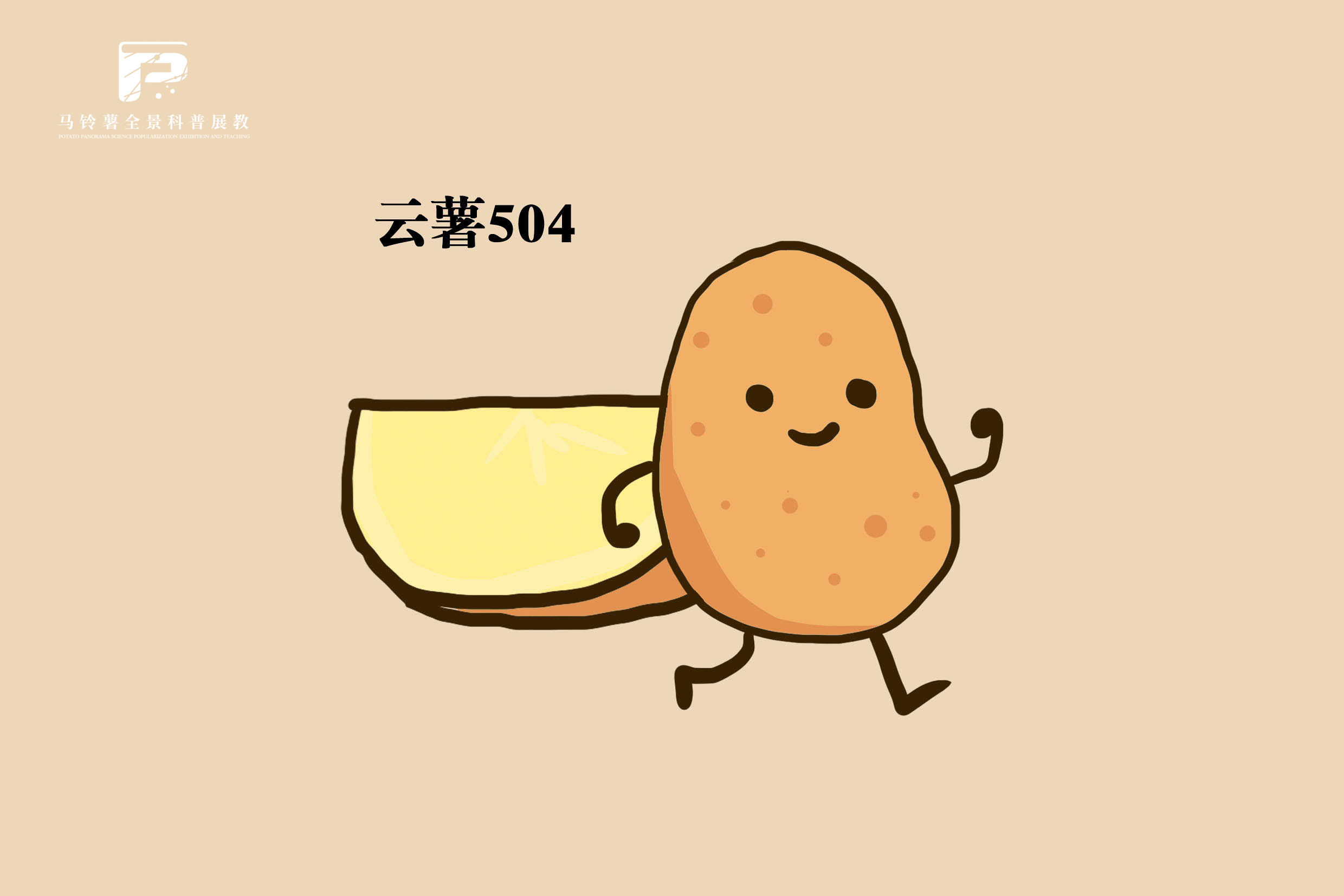 2514云薯504.jpg
