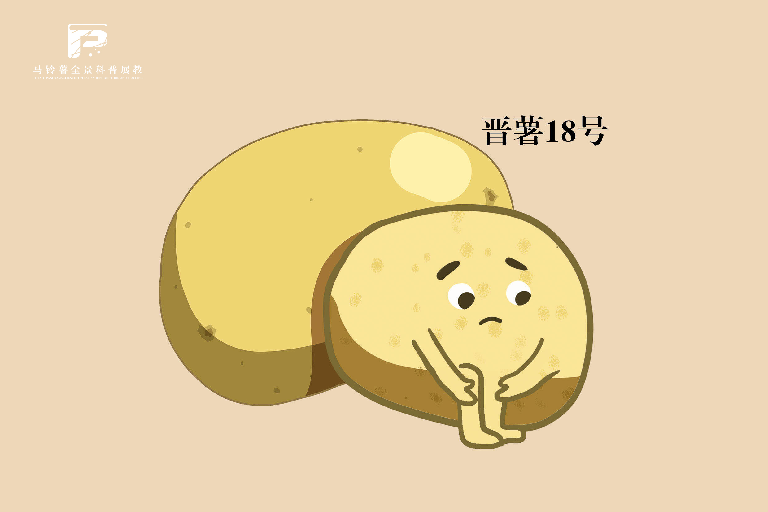 1876晋薯18号.jpg