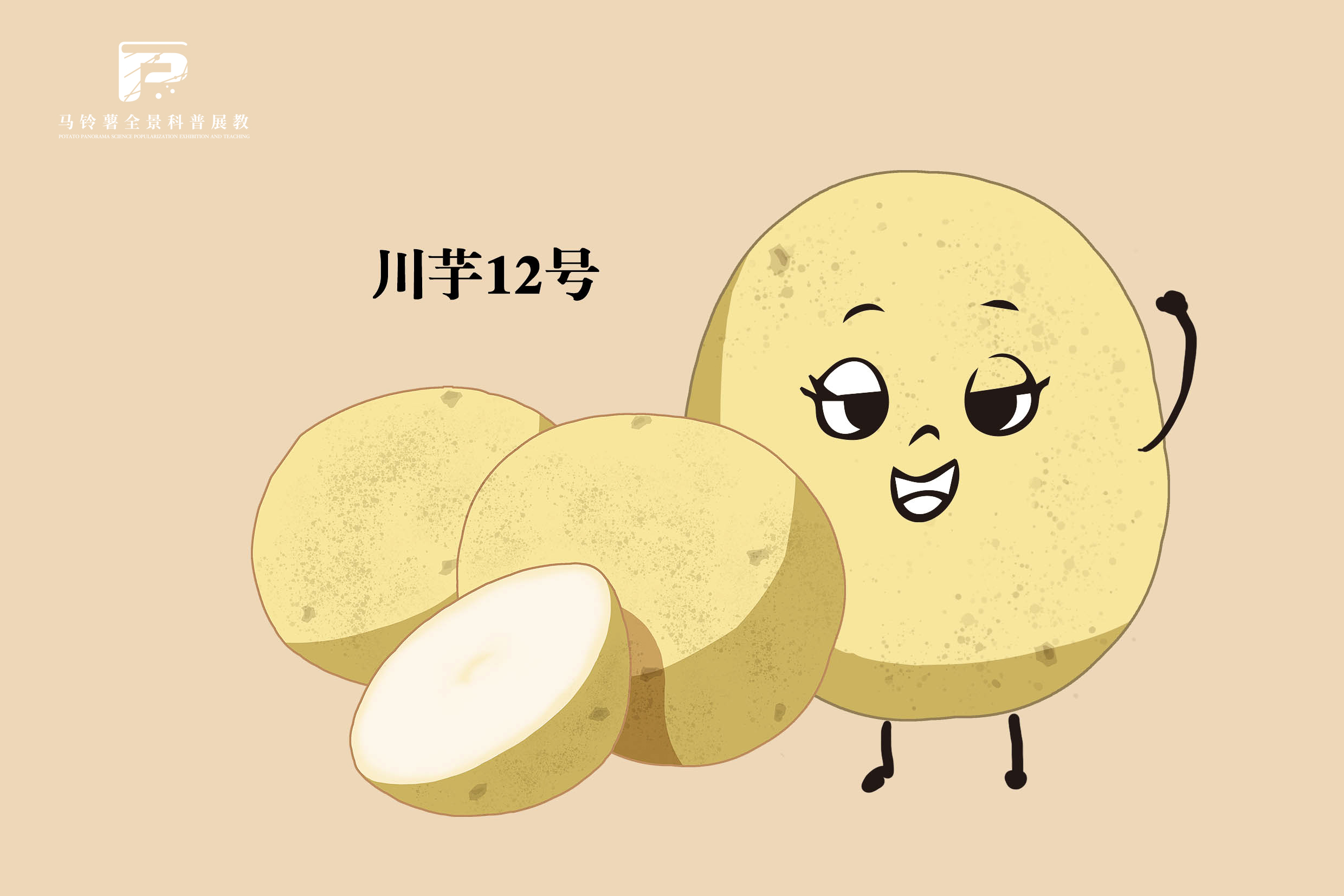 2545 拷贝.jpg