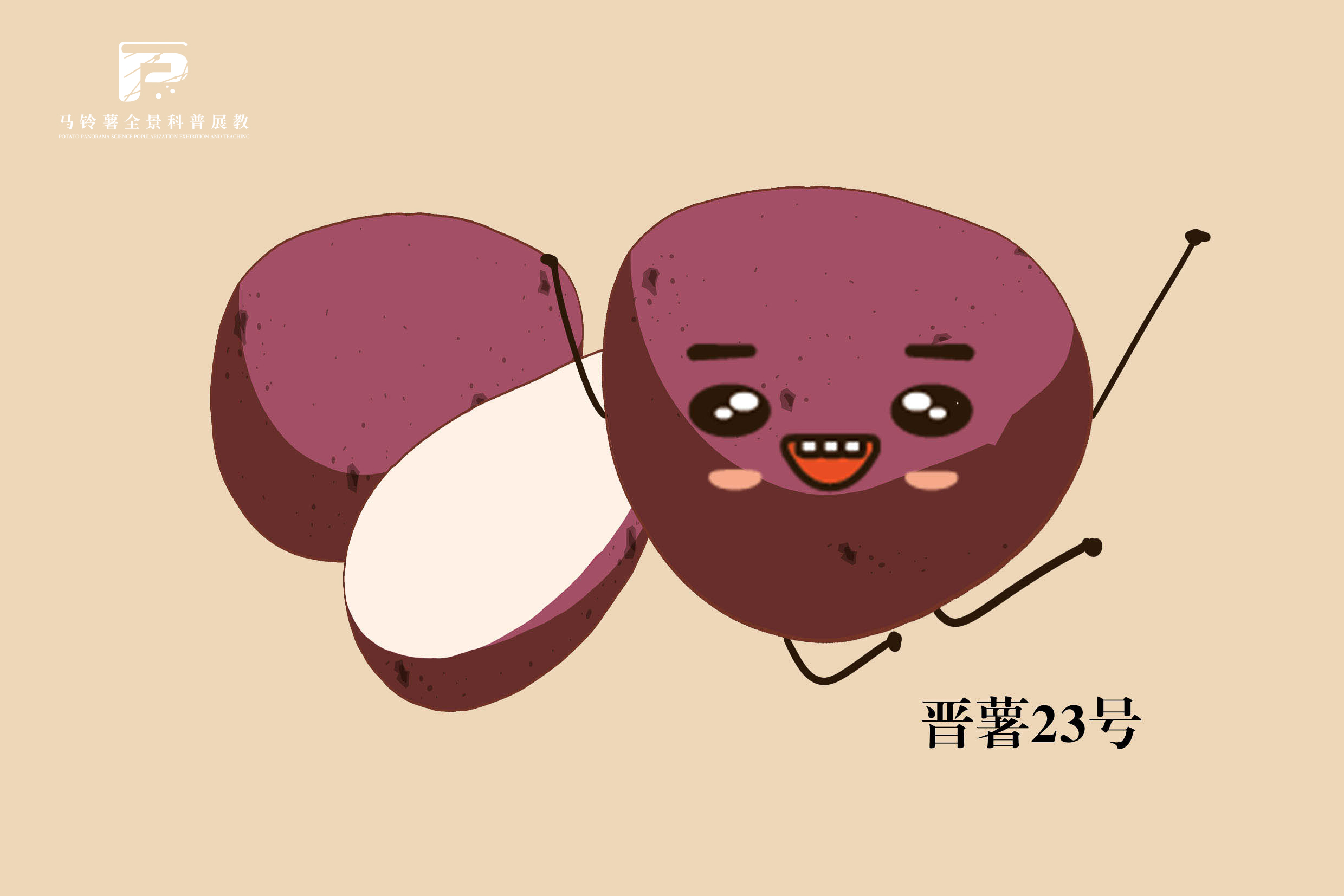 1889晋薯23号.jpg