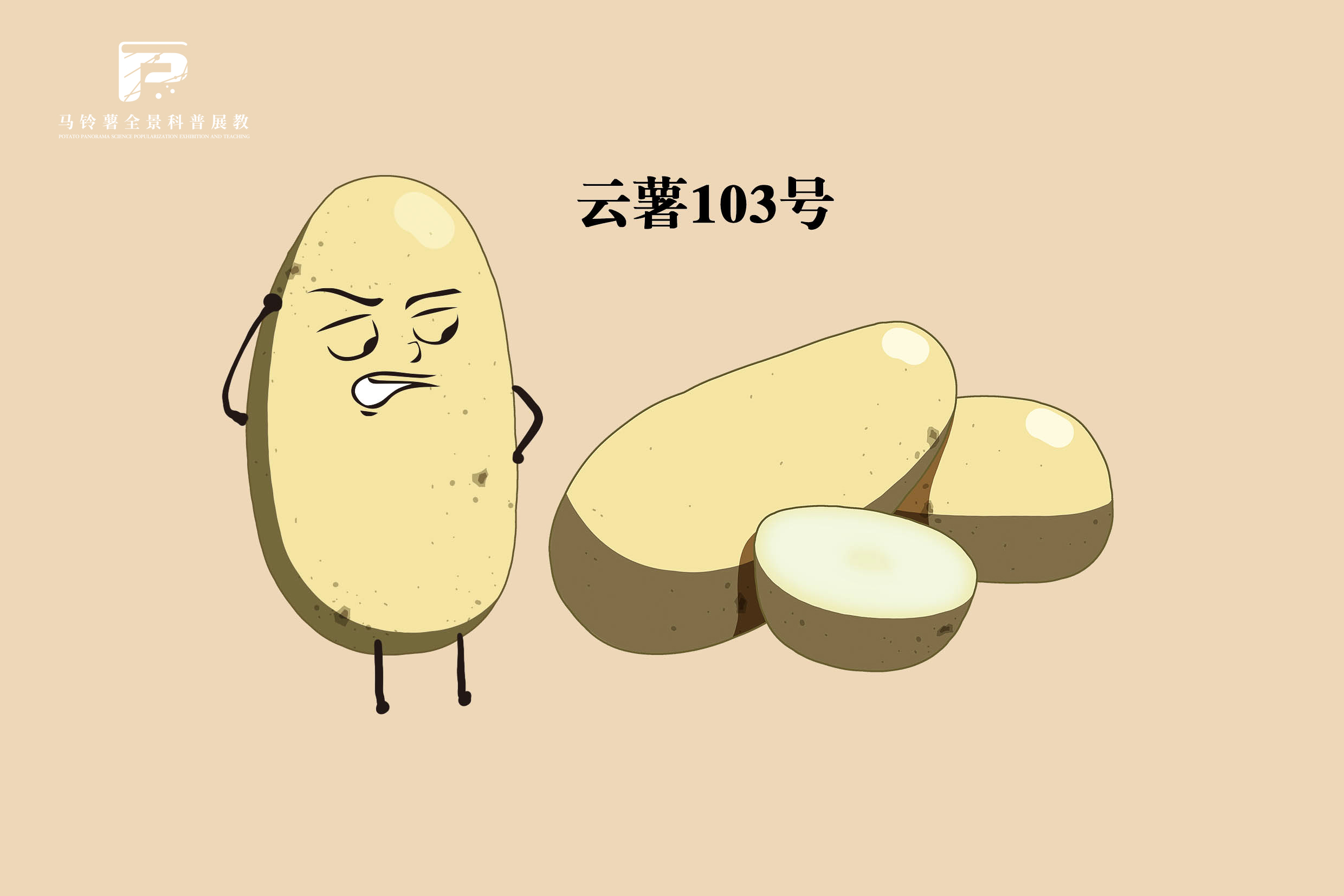 2543云薯103.jpg