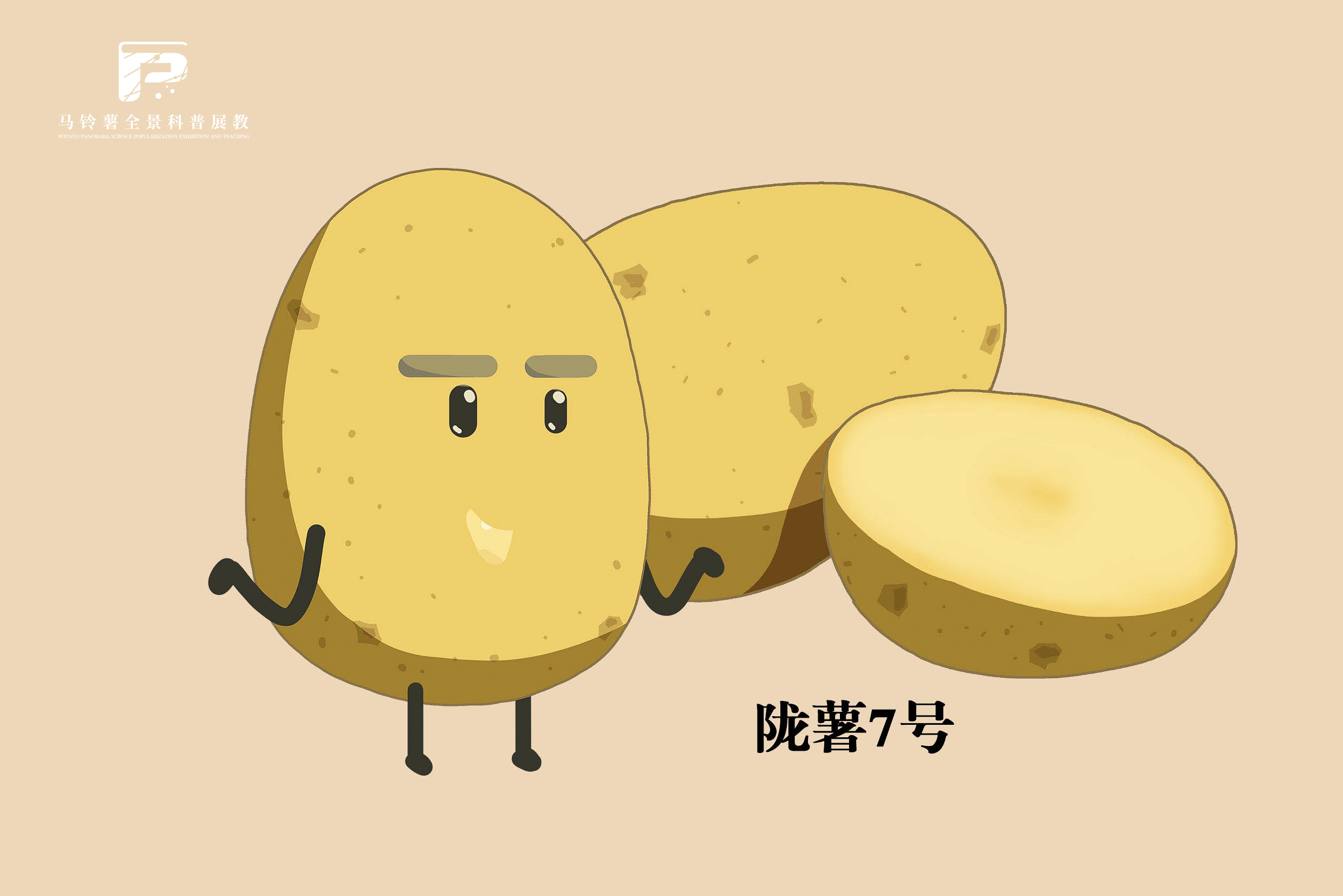 2539陇薯7号.jpg