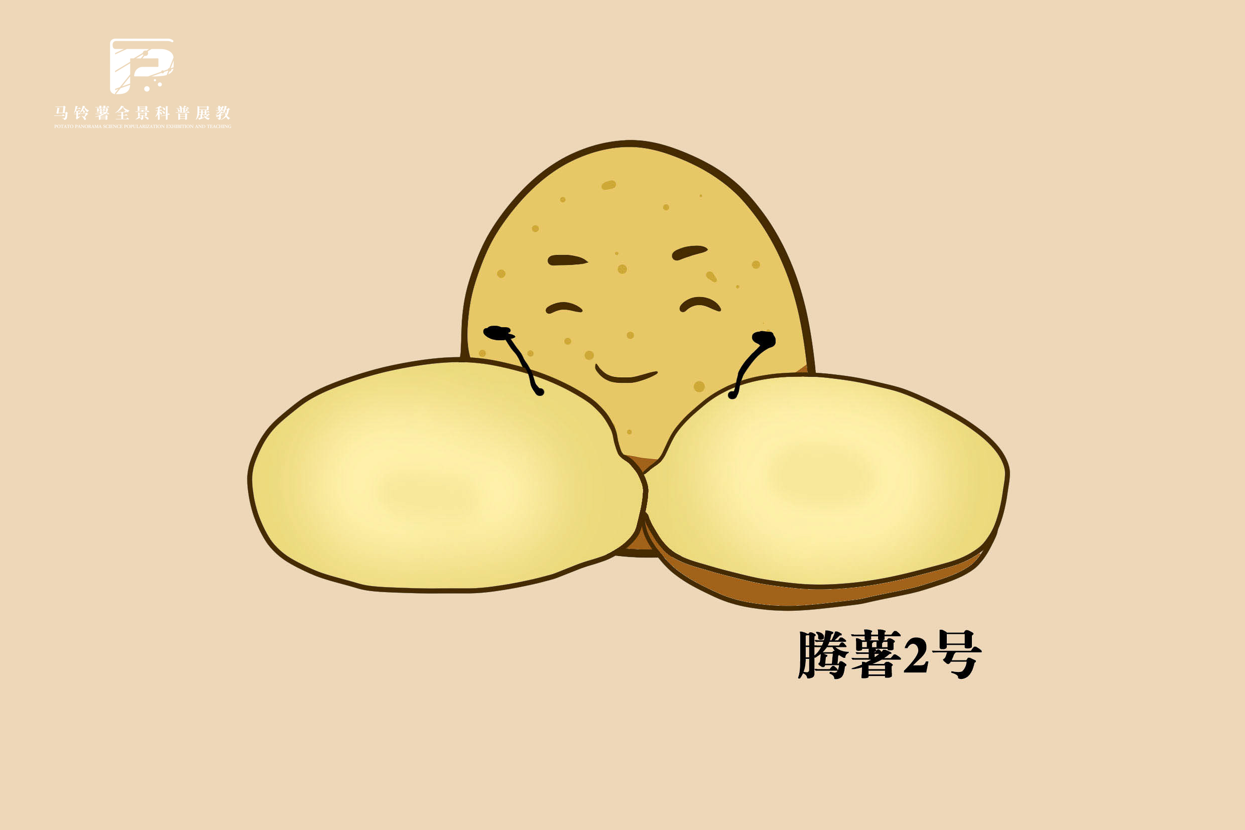 2499腾薯2号.jpg