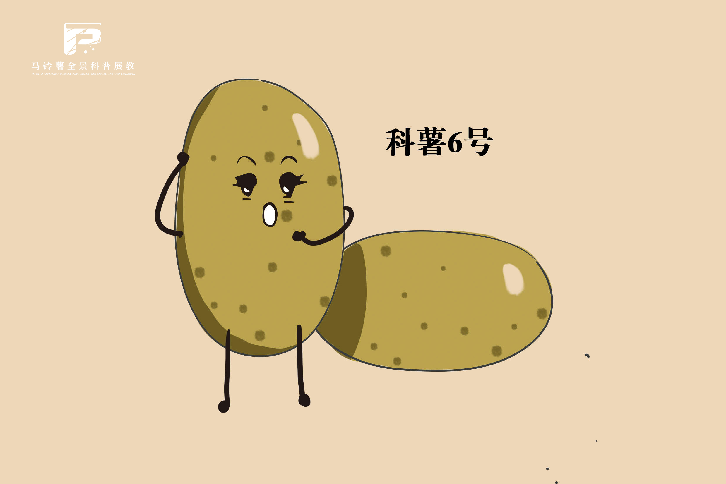 2535.jpg