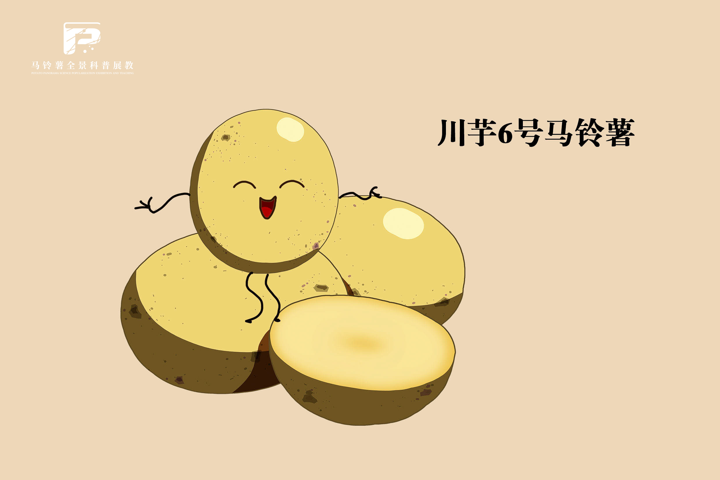 2527川芋6号马铃薯.jpg
