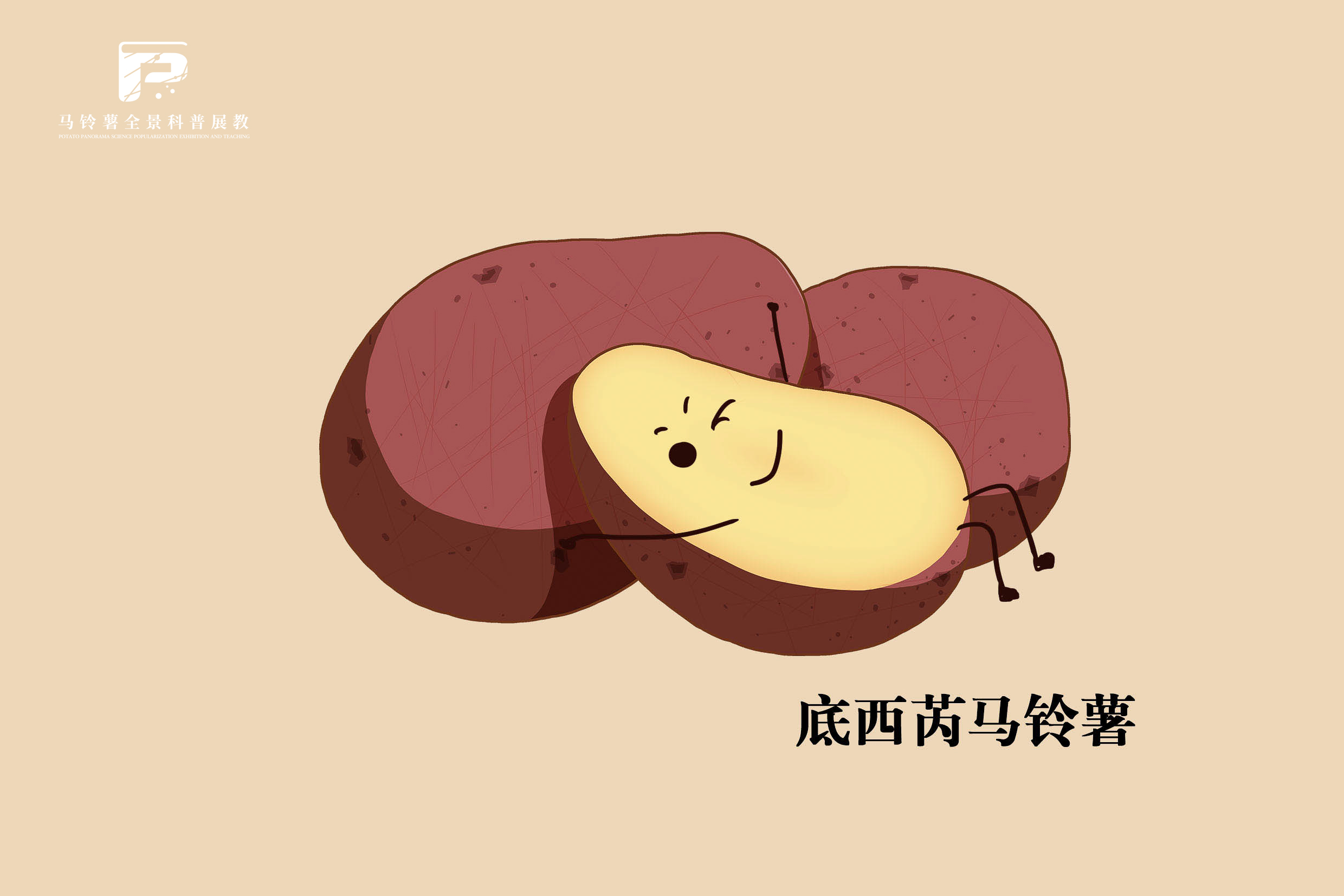 2524底西芮马铃薯.jpg