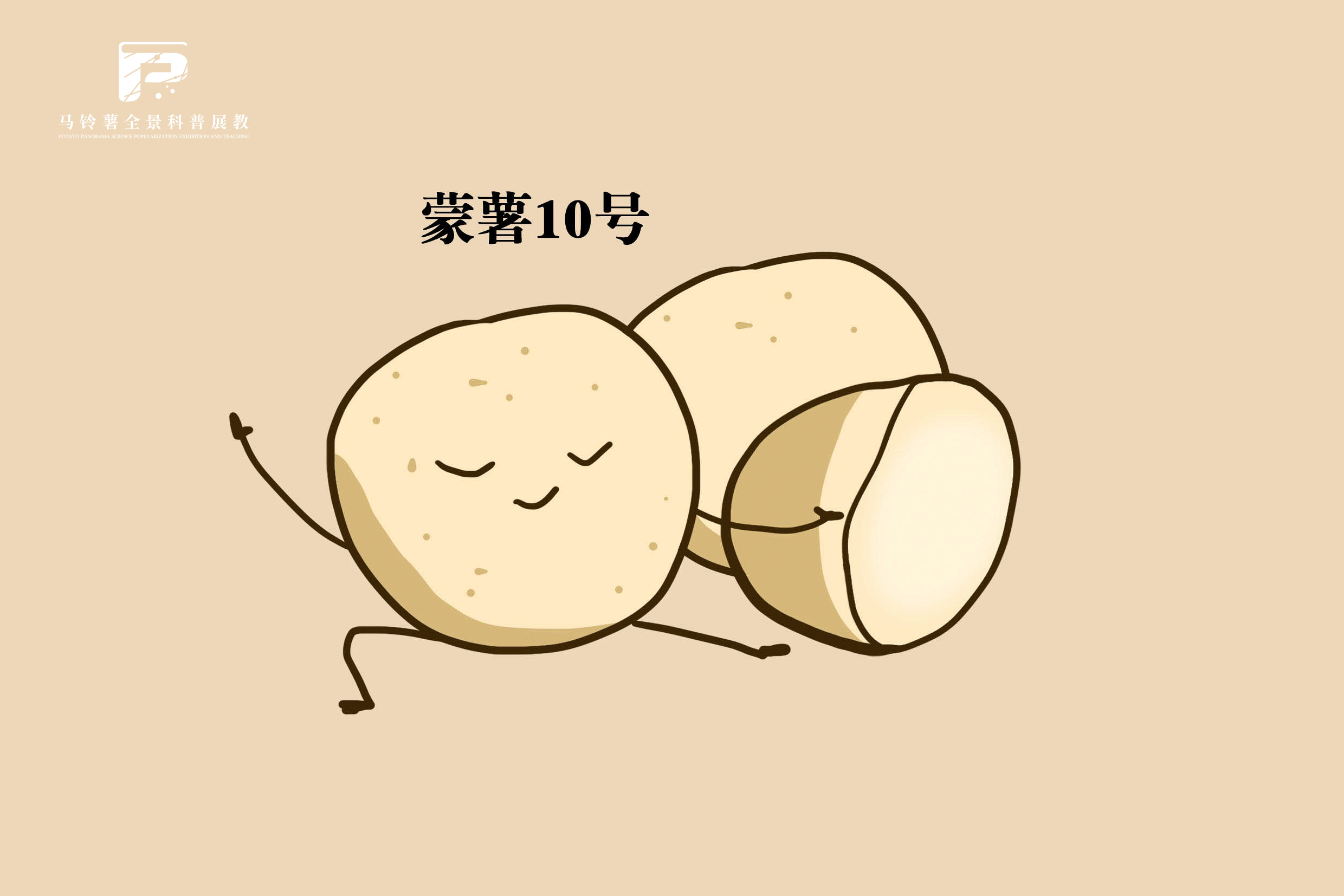 2520蒙薯10号.jpg