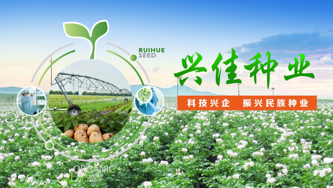 大兴安岭兴佳种业有限公司.jpg