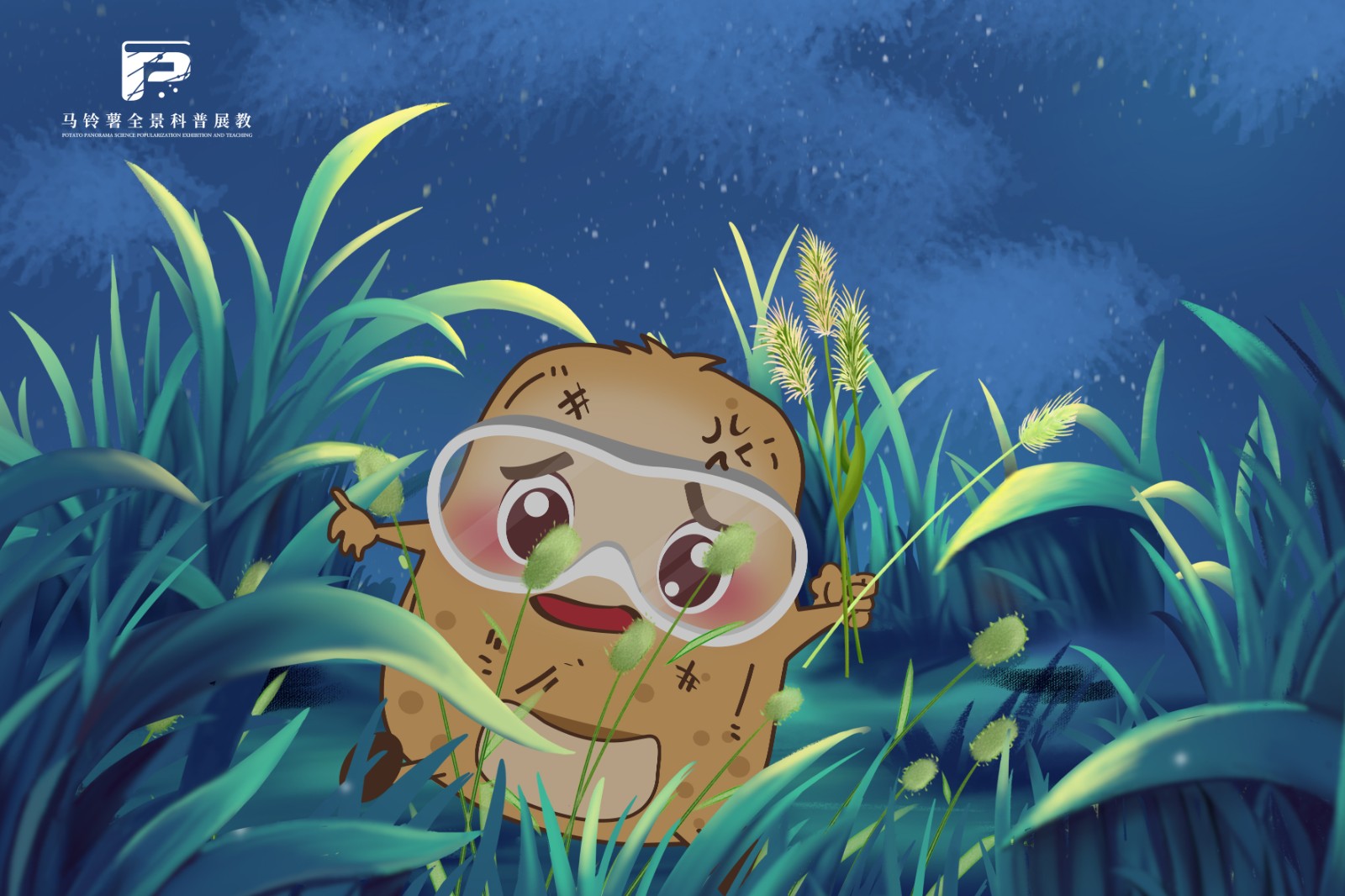 2233冬马铃薯田主要杂草种类危害.jpg 2233冬马铃薯田主要杂草种类危害.jpg