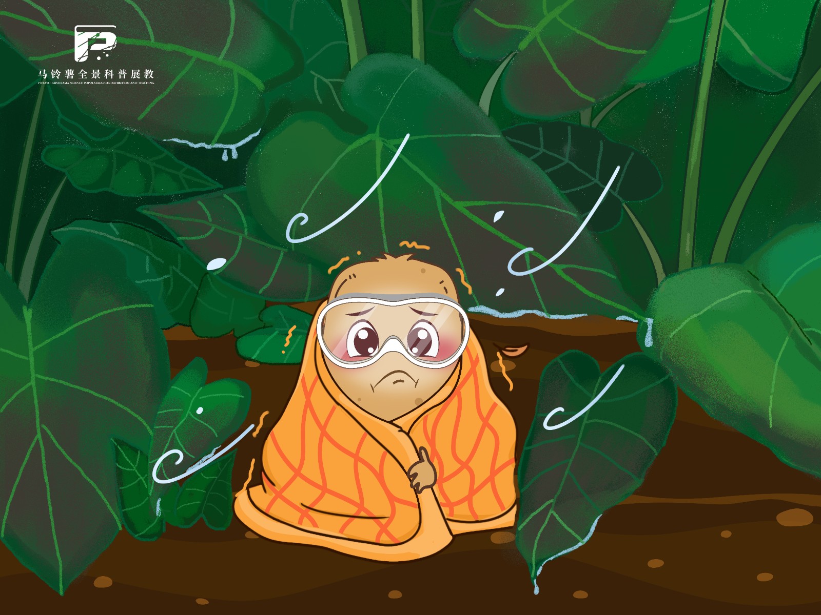 2224马铃薯冻害.jpg 2224马铃薯冻害.jpg