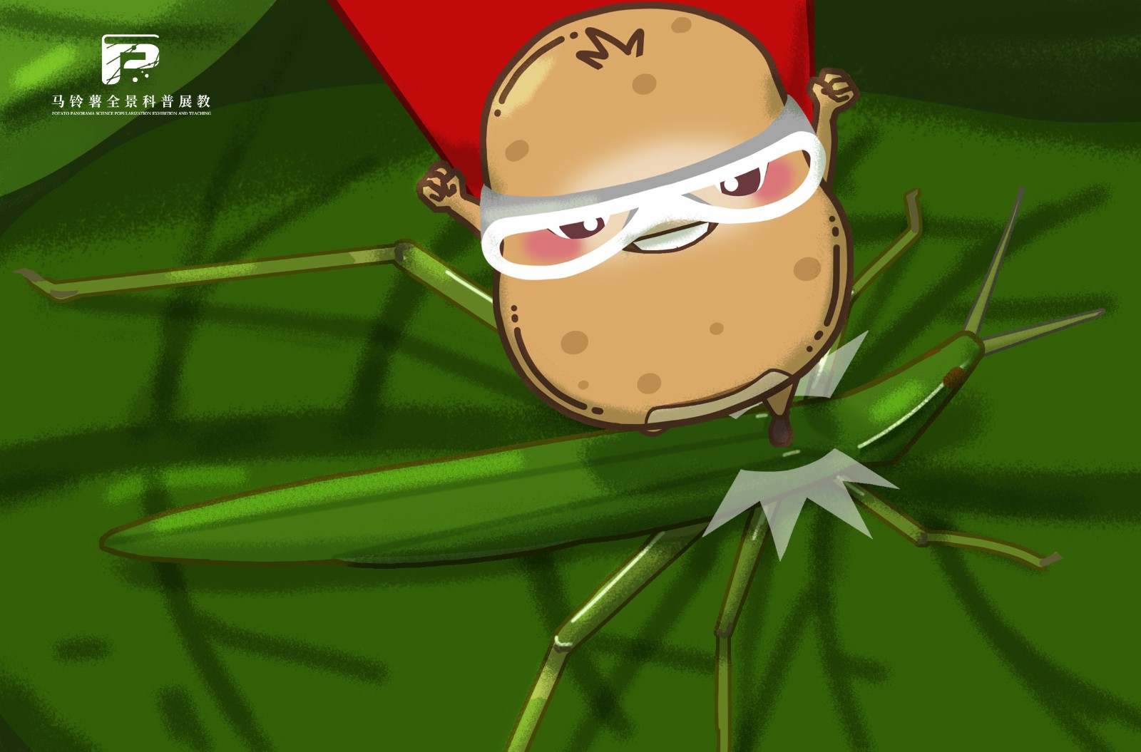 2104短额负蝗.jpg 2104短额负蝗.jpg