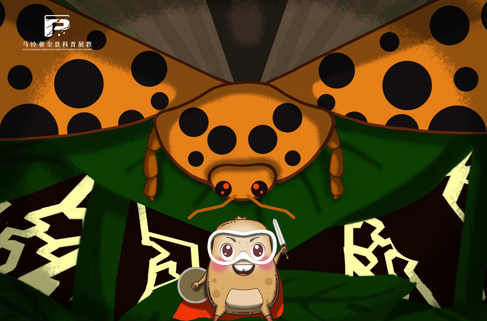 2094二十八星瓢虫.jpg 2094二十八星瓢虫.jpg