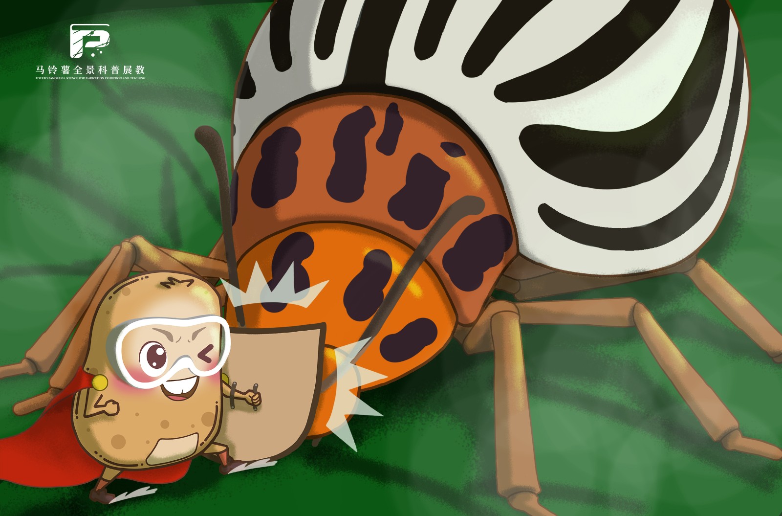 2092马铃薯甲虫.jpg 2092马铃薯甲虫.jpg