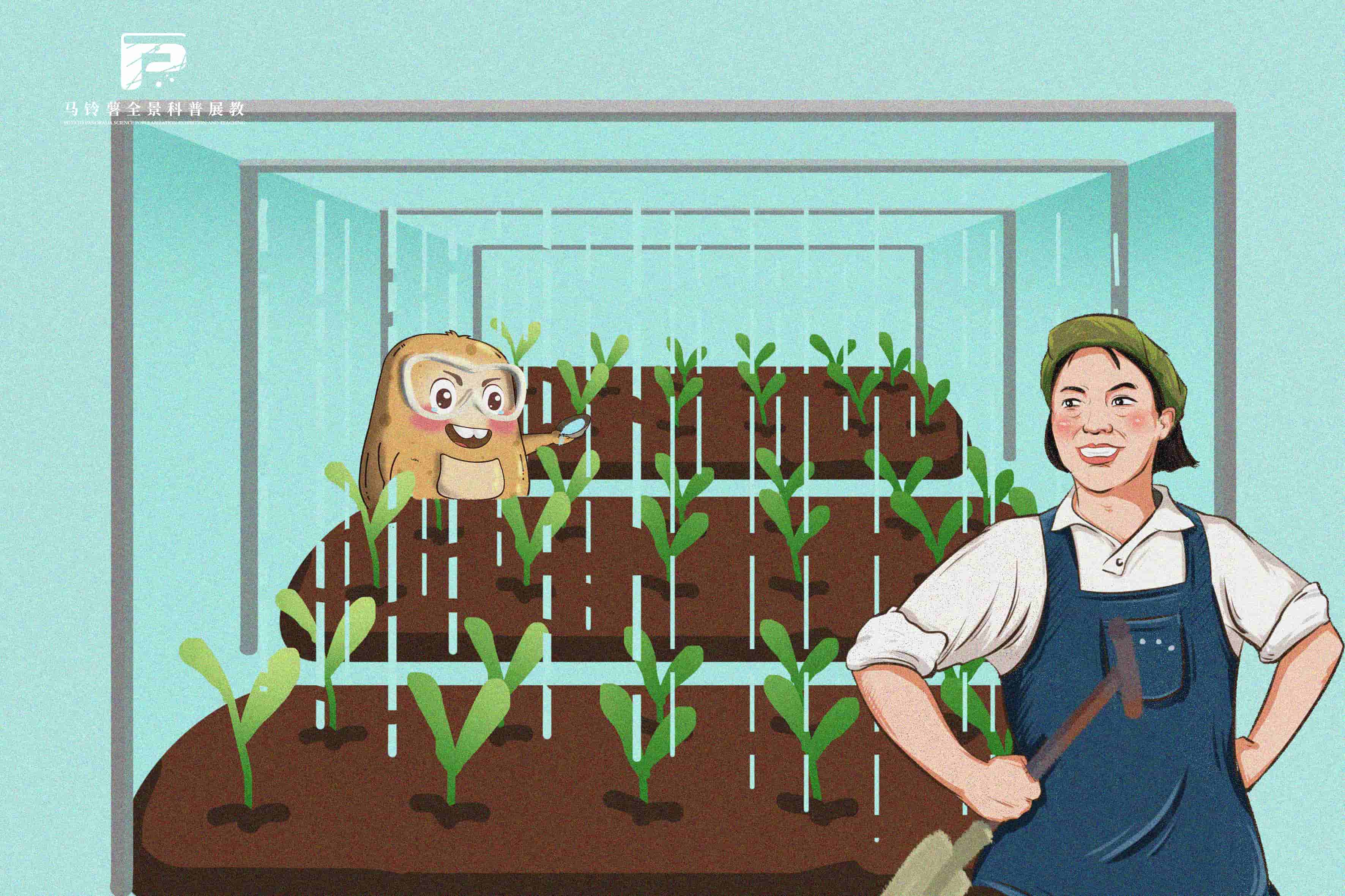 2330龙头企业带动大棚里种下致富薯.jpg 2330龙头企业带动大棚里种下致富薯.jpg