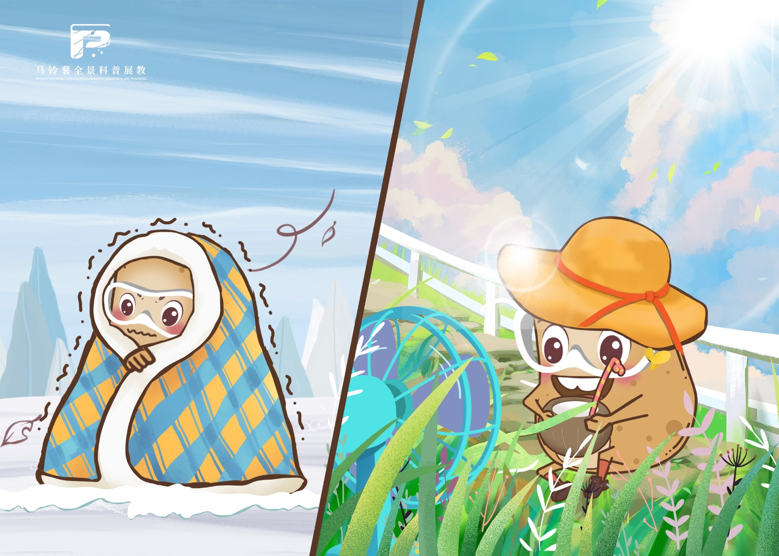 2388马铃薯生理性病害种类及特点.jpg 2388马铃薯生理性病害种类及特点.jpg