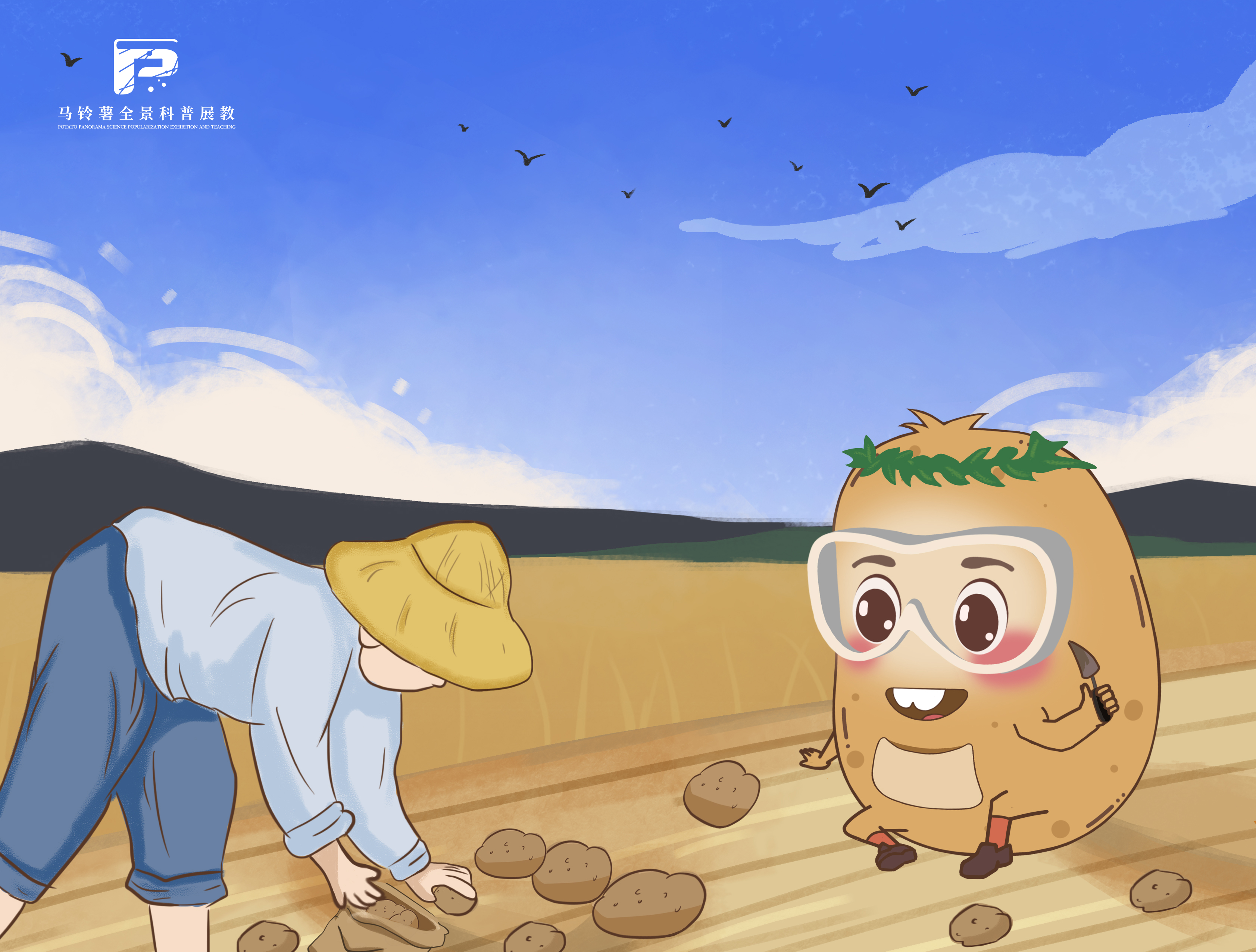 2115马铃薯的贮藏程序.jpg 2115马铃薯的贮藏程序.jpg