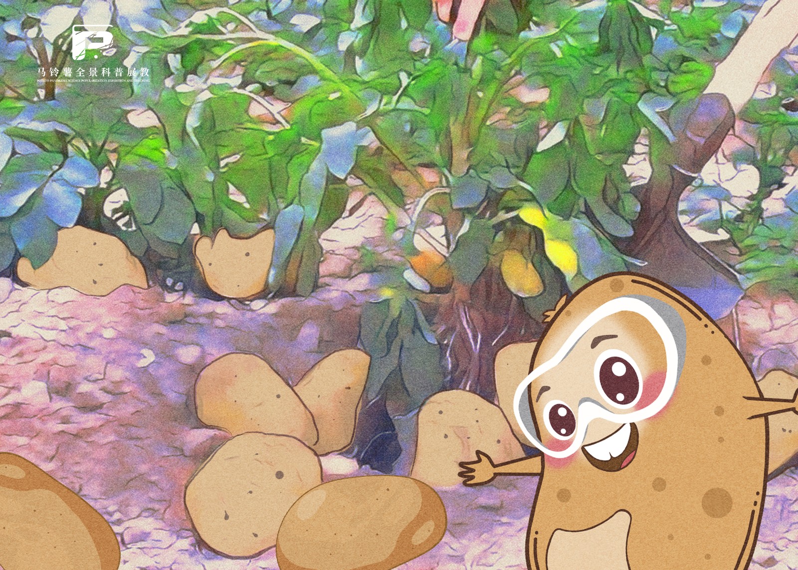 2085南方二季作区马铃薯栽培技术.jpg 2085南方二季作区马铃薯栽培技术.jpg