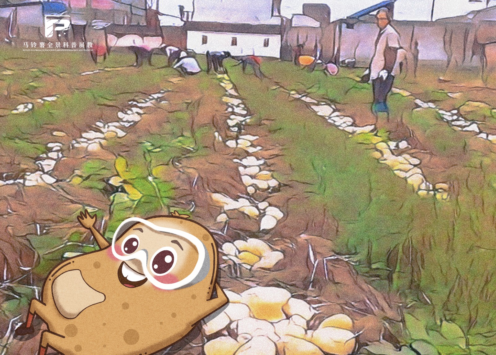 2093冬马铃薯稻草覆盖免耕栽培技术.jpg 2093冬马铃薯稻草覆盖免耕栽培技术.jpg