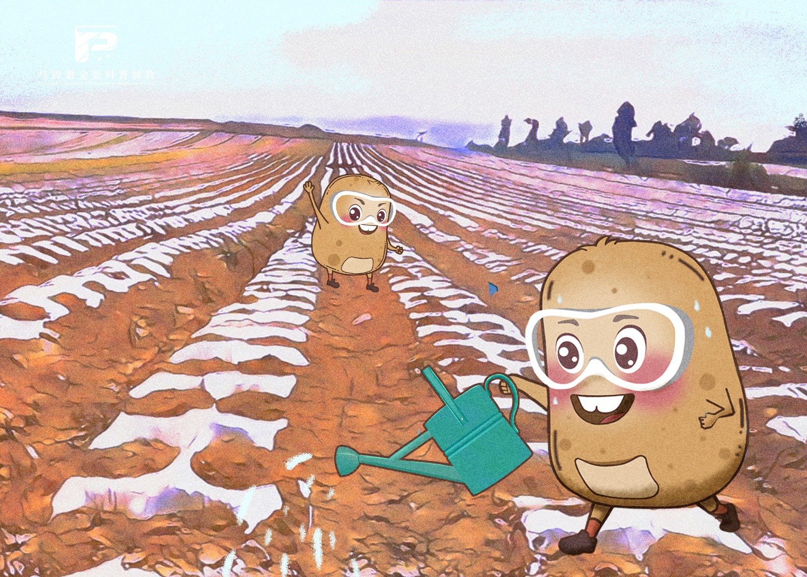 2088甘肃省马铃薯高产种植模式.jpg 2088甘肃省马铃薯高产种植模式.jpg