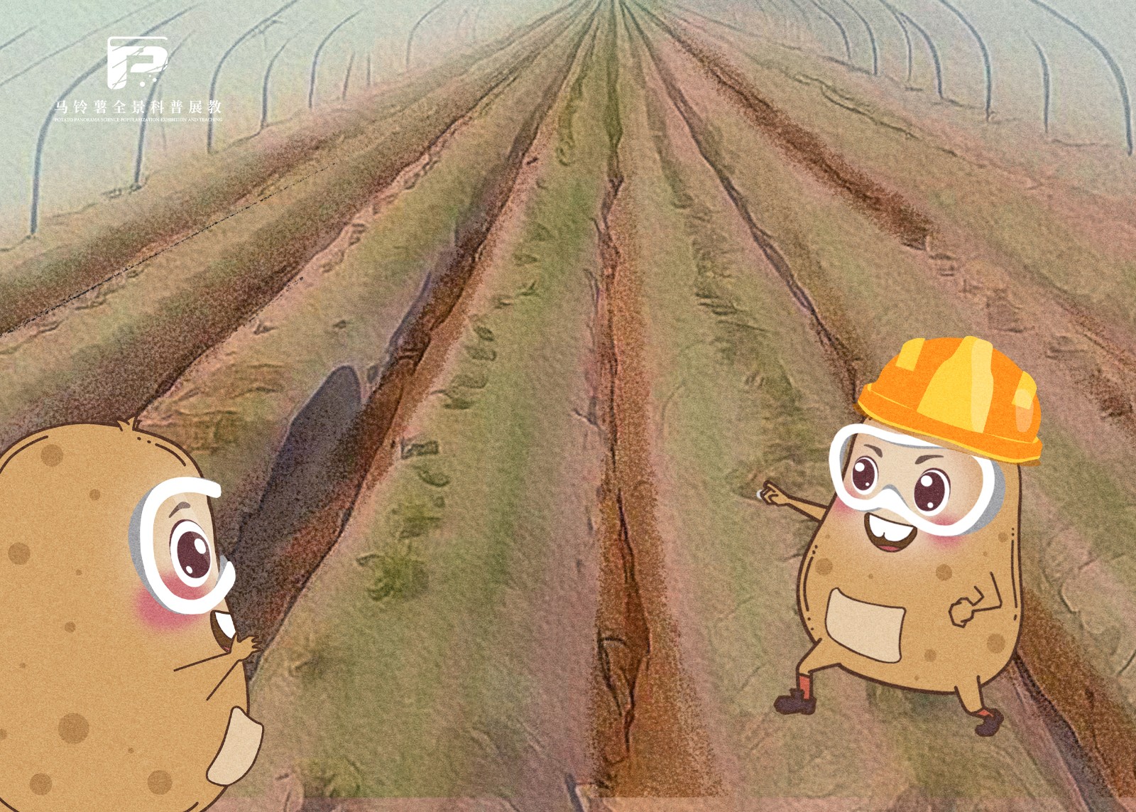 2090西北干旱地区马铃薯全膜覆盖双垄栽培技术.jpg 2090西北干旱地区马铃薯全膜覆盖双垄栽培技术.jpg