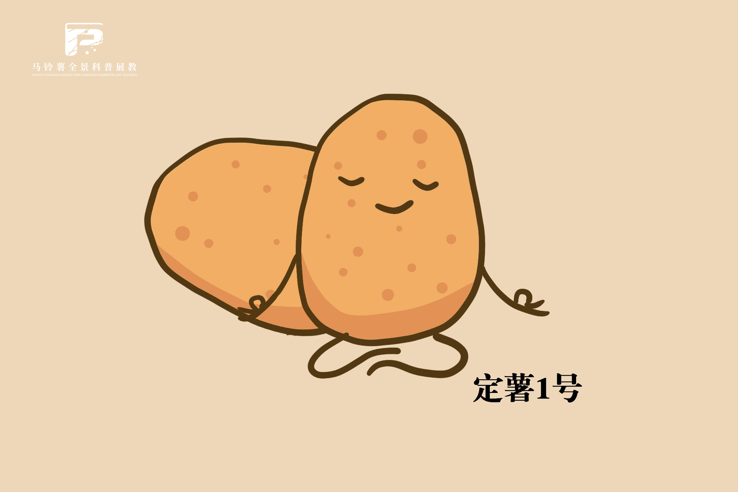 2509定薯1号.jpg