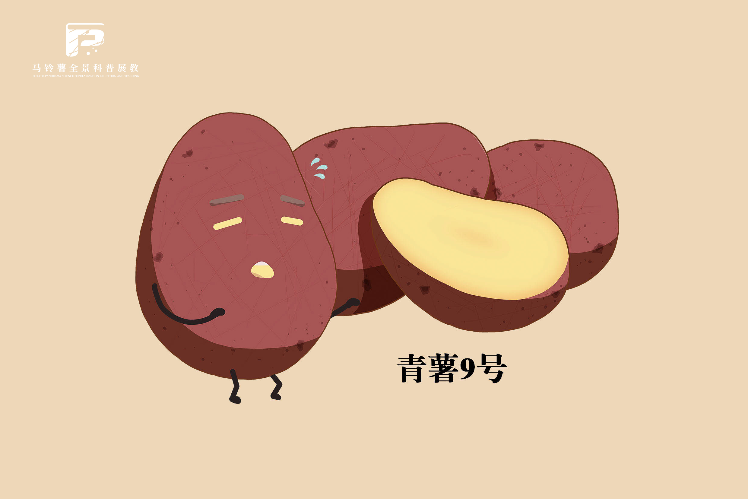 1899青薯9号.jpg