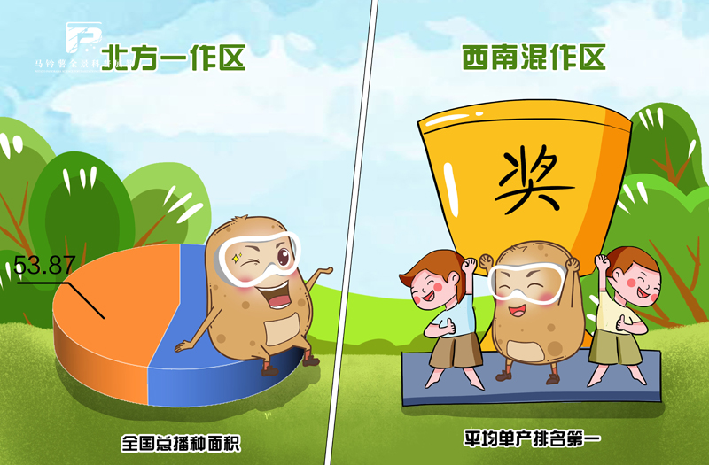 2013马铃薯种植的四大优势区域各有特色.jpg