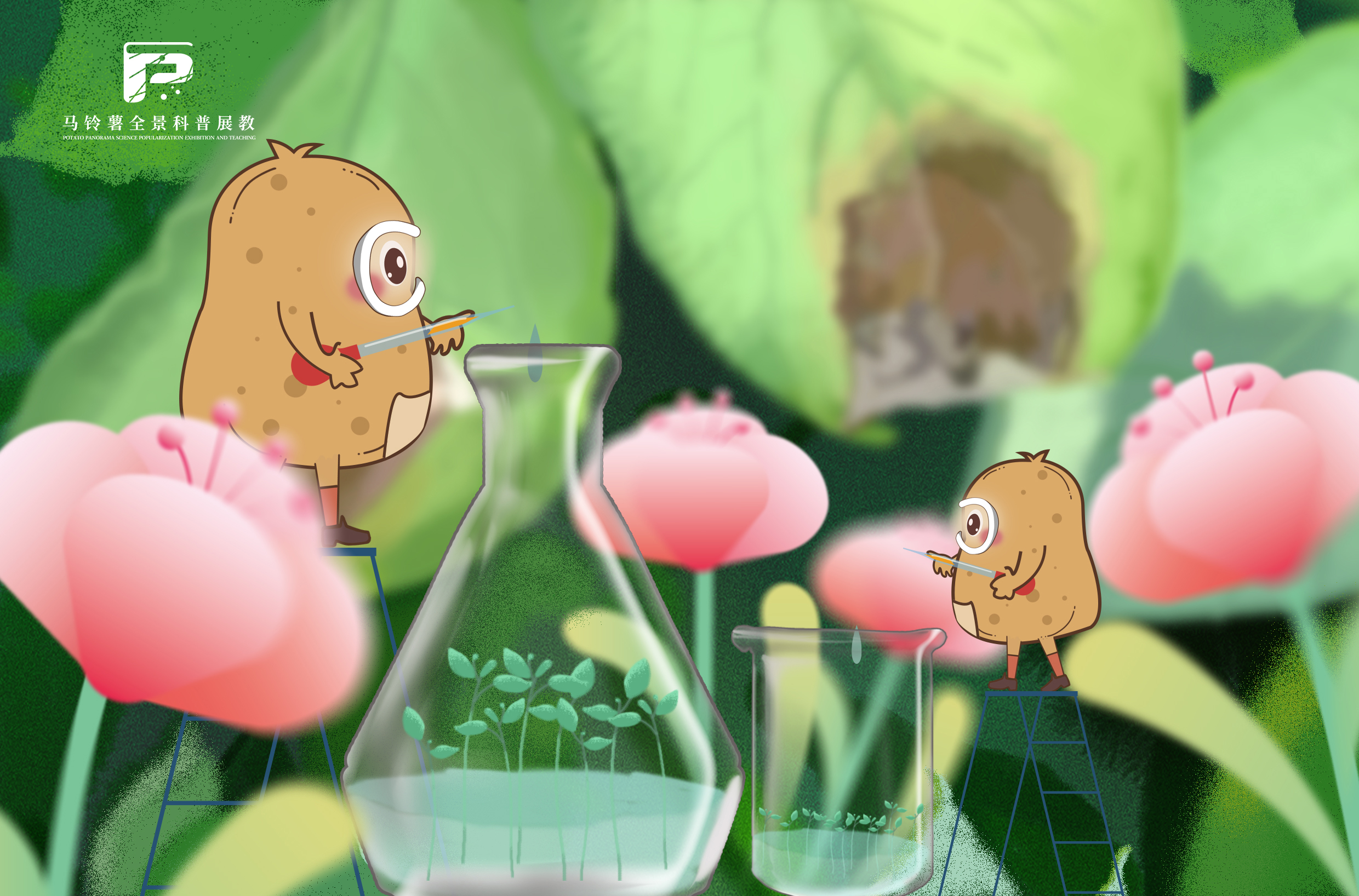 2181脱毒马铃著认识和应用误区.jpg 2181脱毒马铃著认识和应用误区.jpg