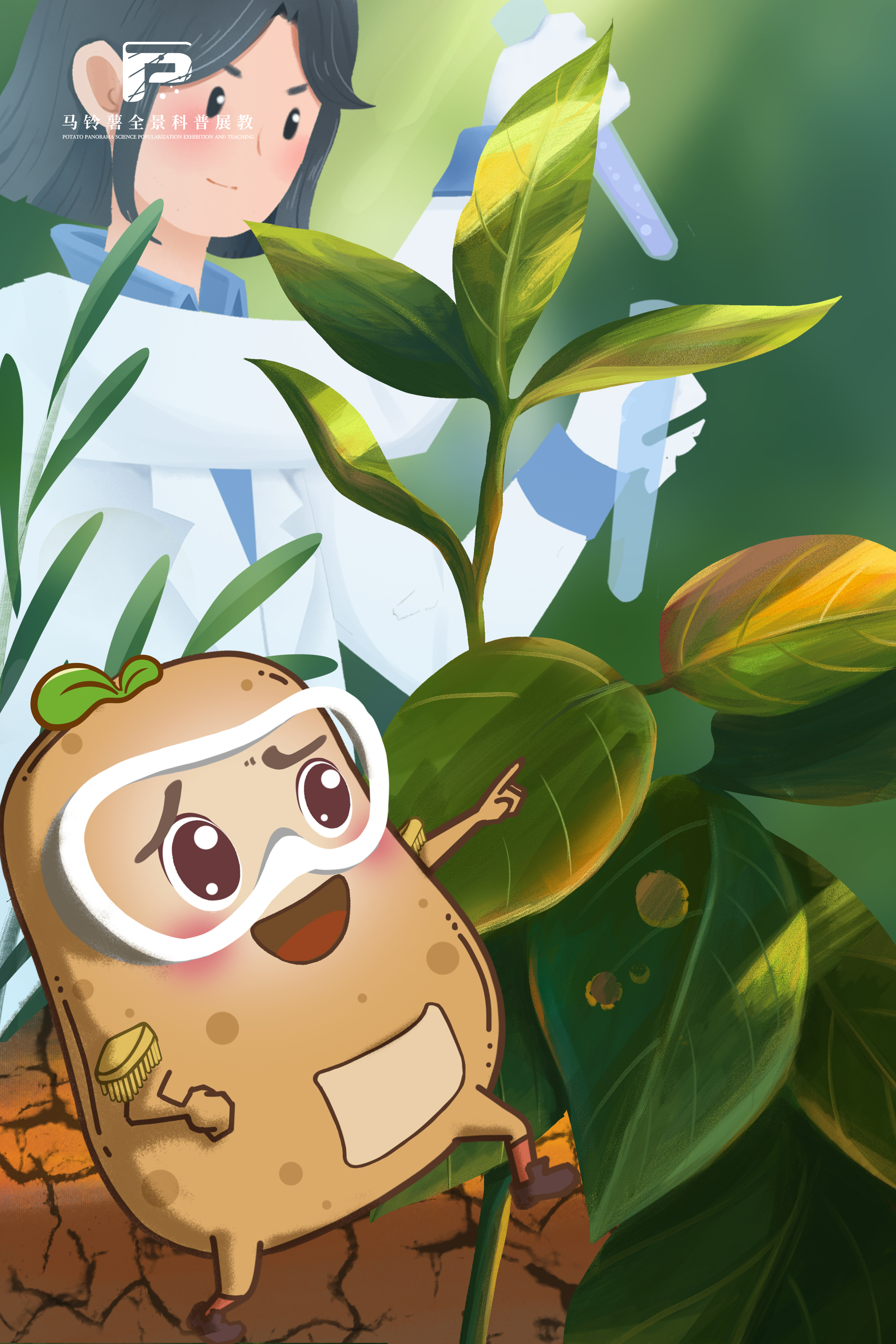 2262马铃薯抗旱品种育种技术.jpg 2262马铃薯抗旱品种育种技术.jpg