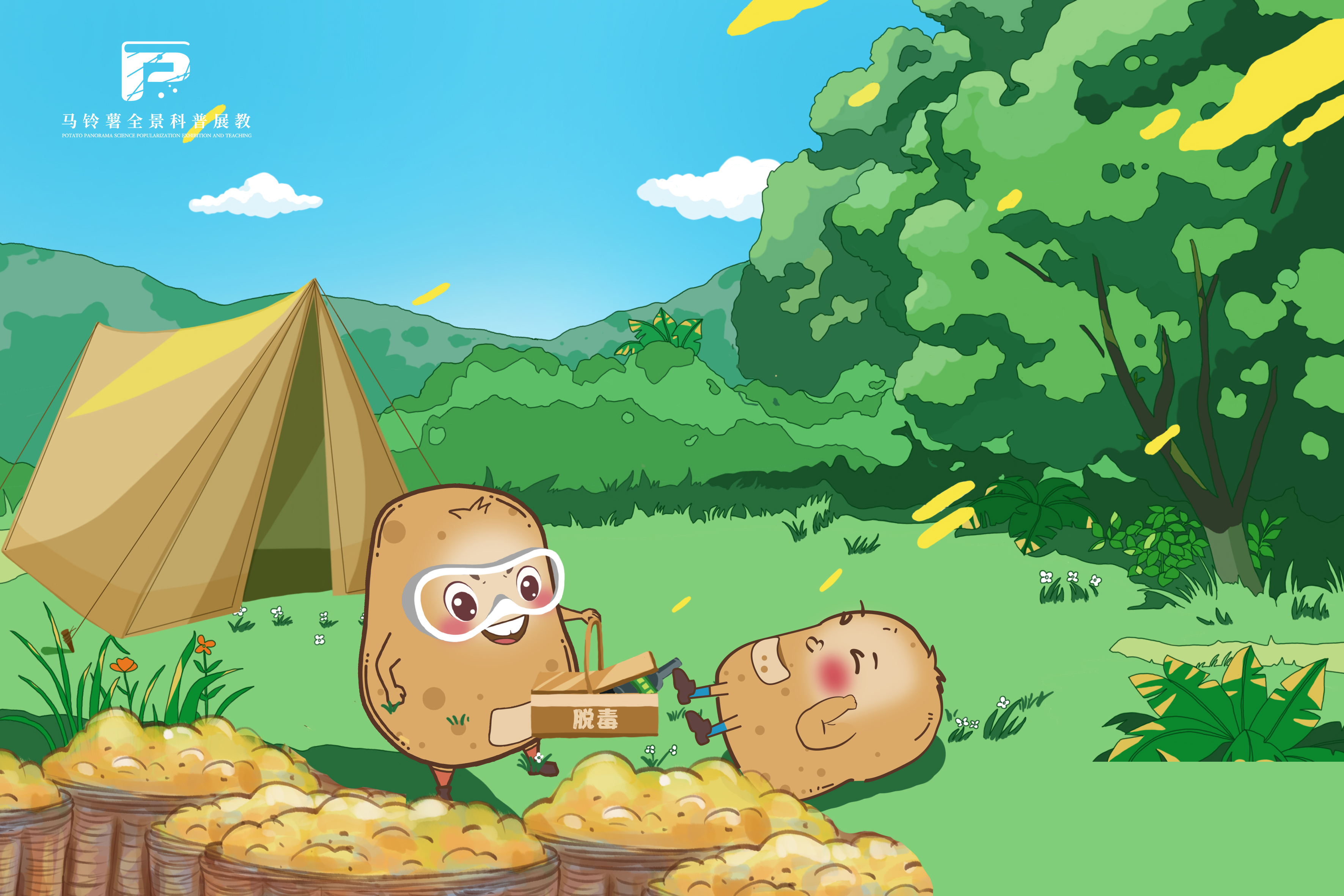 2186脱毒马铃薯的增产潜力.jpg 2186脱毒马铃薯的增产潜力.jpg