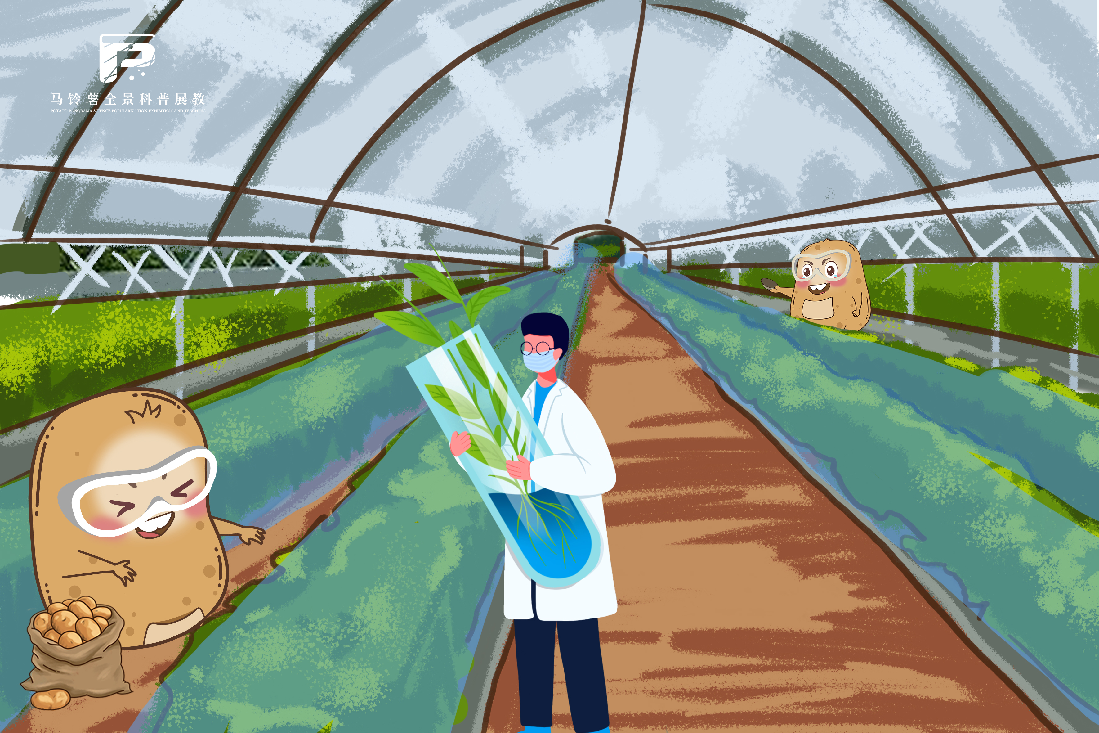 2258脱毒种薯繁育体系.jpg 2258脱毒种薯繁育体系.jpg