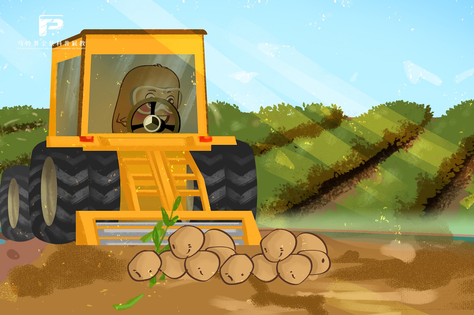 2412马铃薯生产机械化的现状.jpg 2412马铃薯生产机械化的现状.jpg