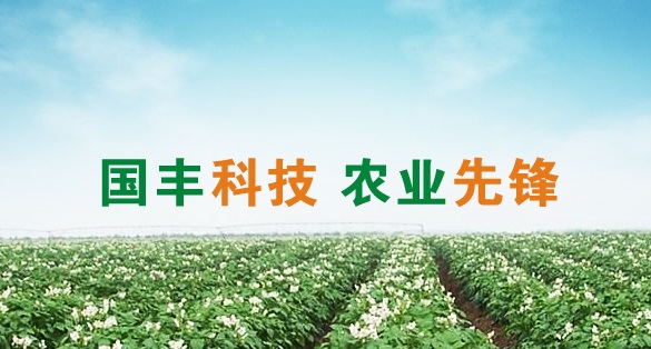 国丰科技.jpg