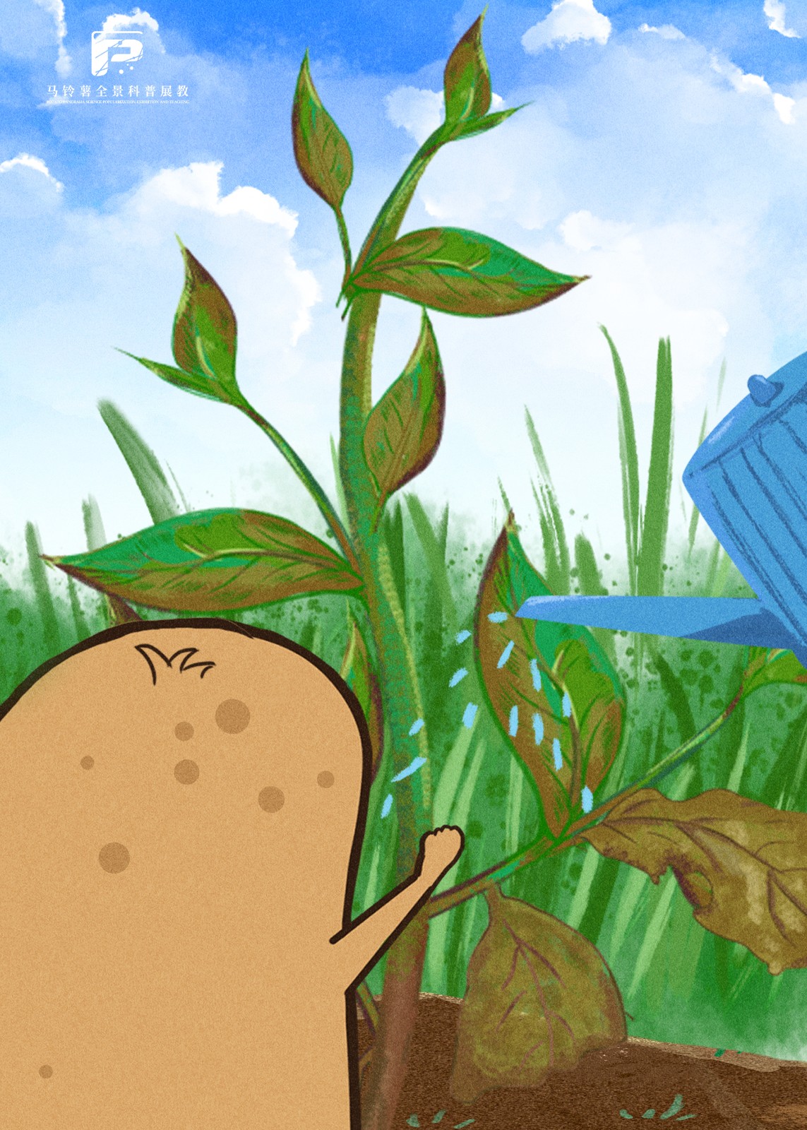 马铃薯的茎.jpg 马铃薯的茎.jpg